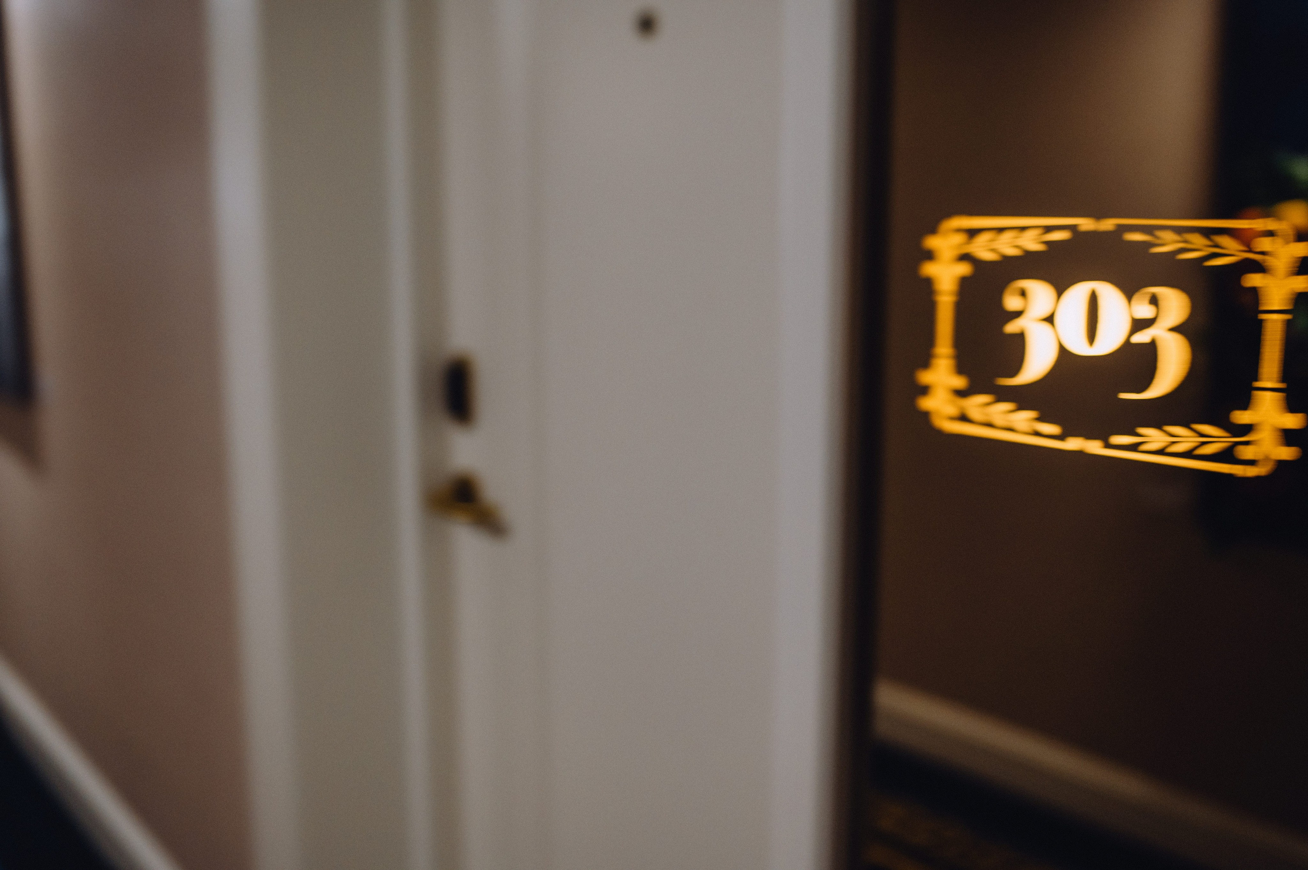 Свадебная фотография. Профессиональный фотограф Алексей Васенцев. Минск, СПБ, Москва