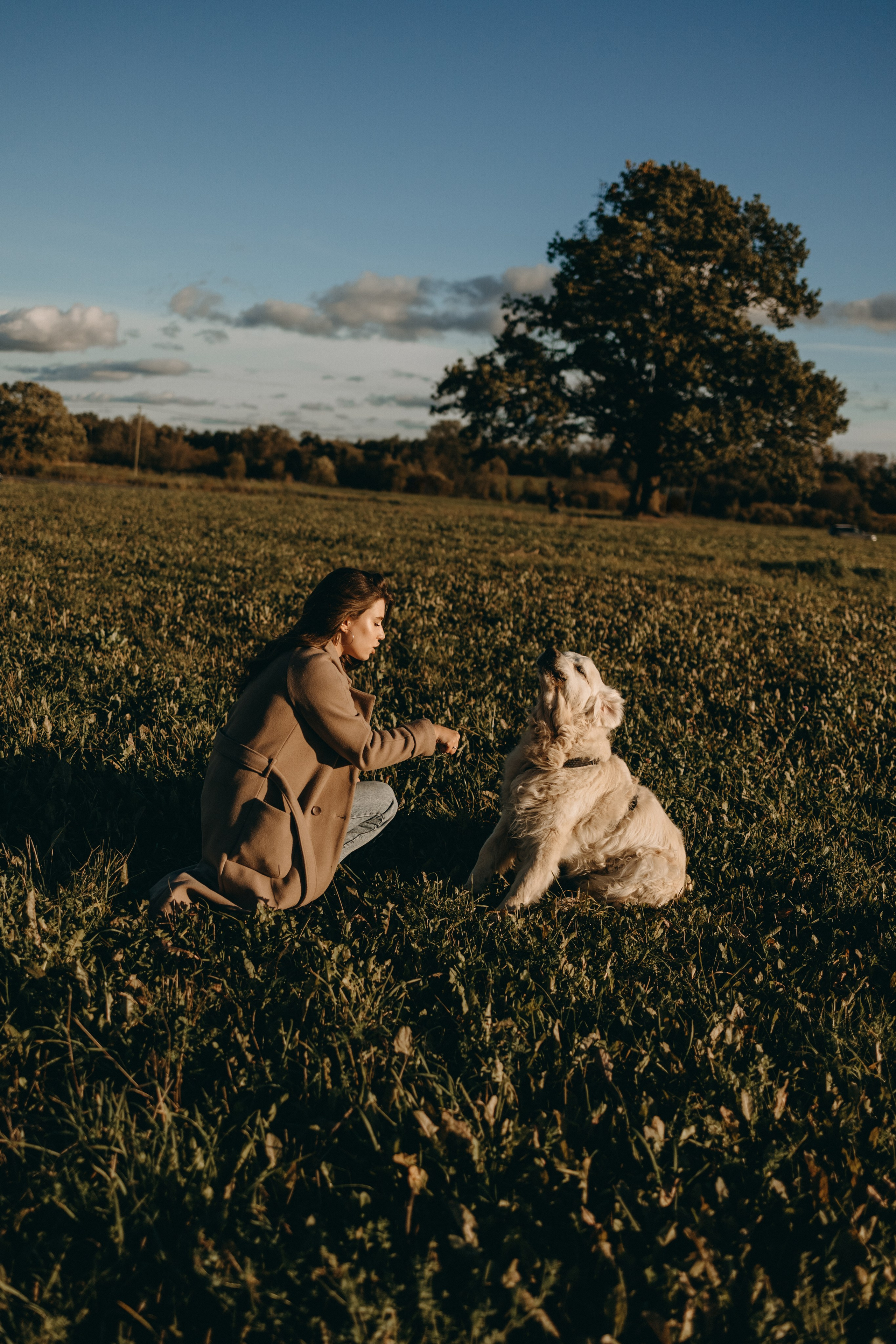 Лера и Скай. Фотограф — Анималист | Санкт-Петербург