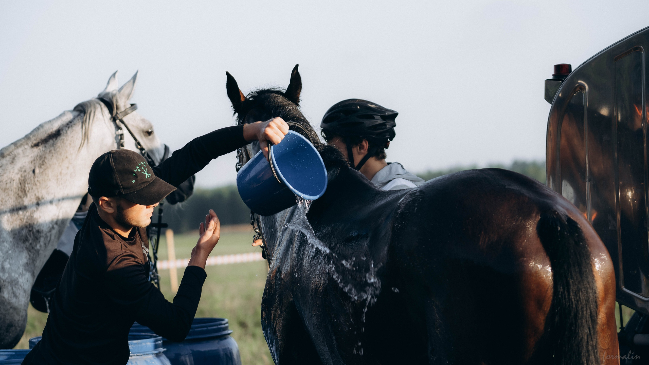 День Коня. Алиса Никитцова | Фотограф в Казани