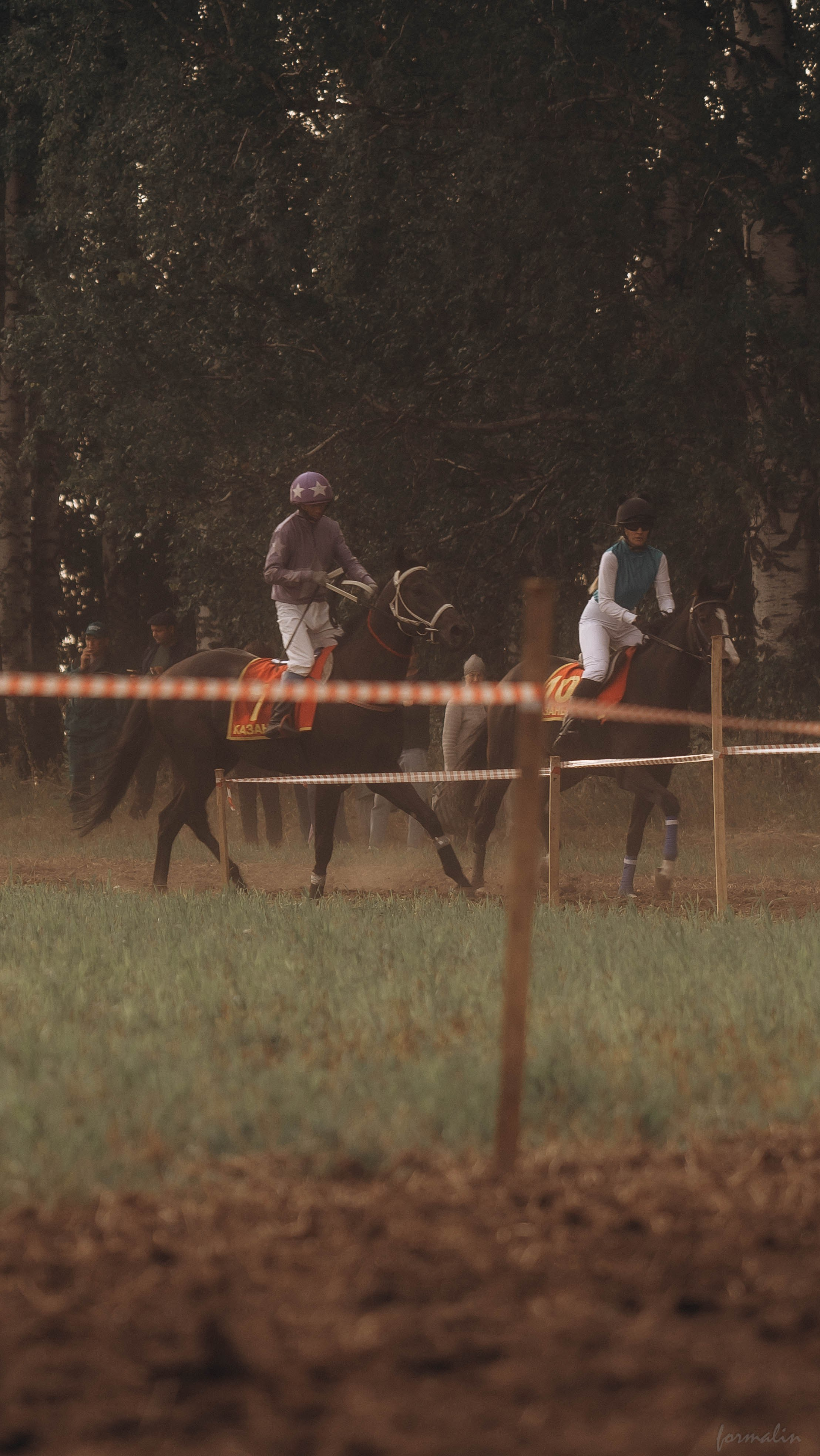 День Коня. Алиса Никитцова | Фотограф в Казани