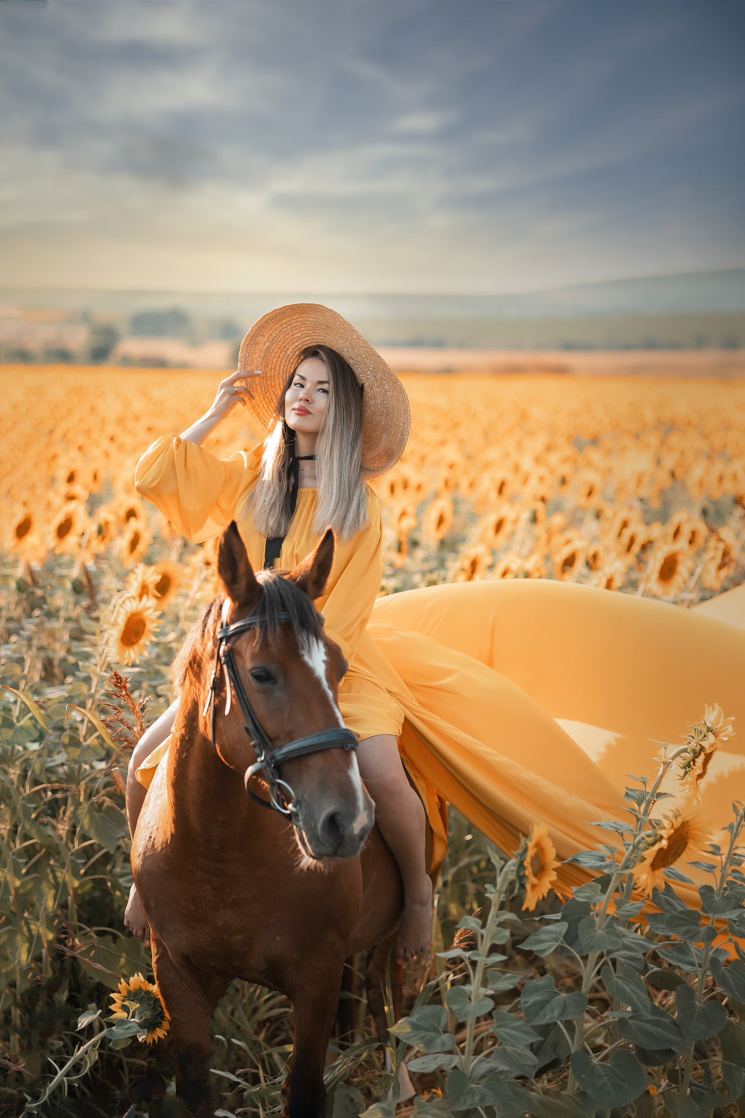 Солнечные подсолнухи. Художественный фотограф Анапа Александра Долбикова