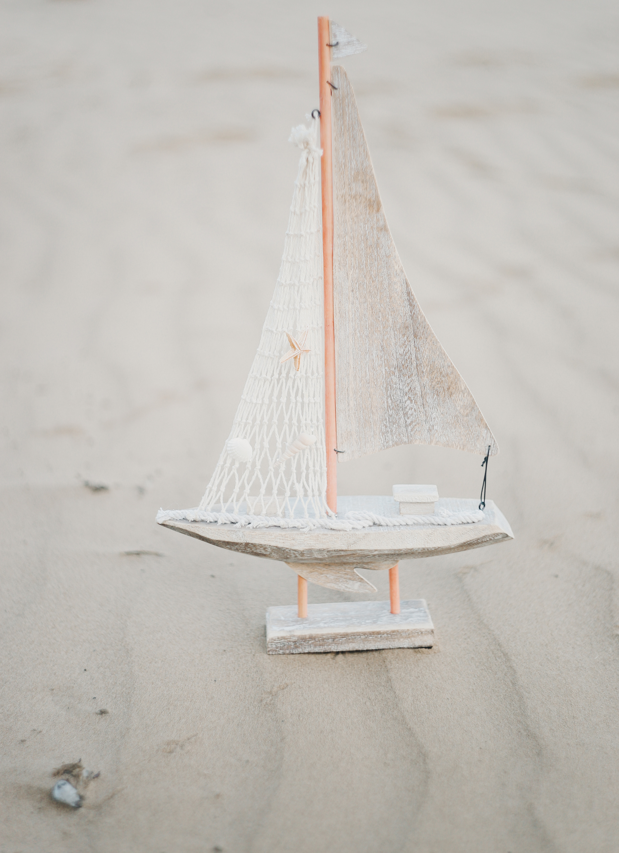 Алина. Фотограф Санкт-Петербург