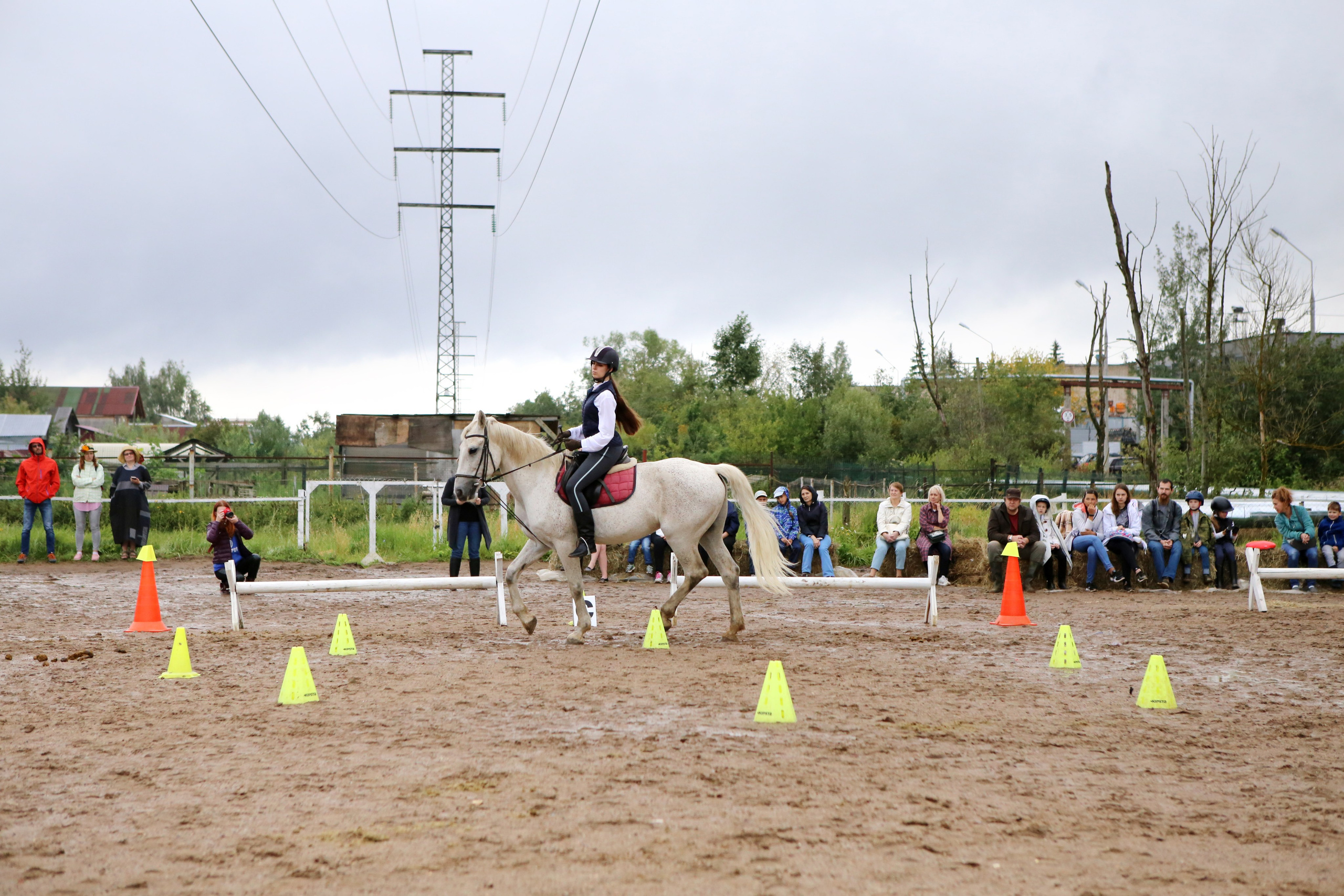 Наша жизнь. КСК Тагир