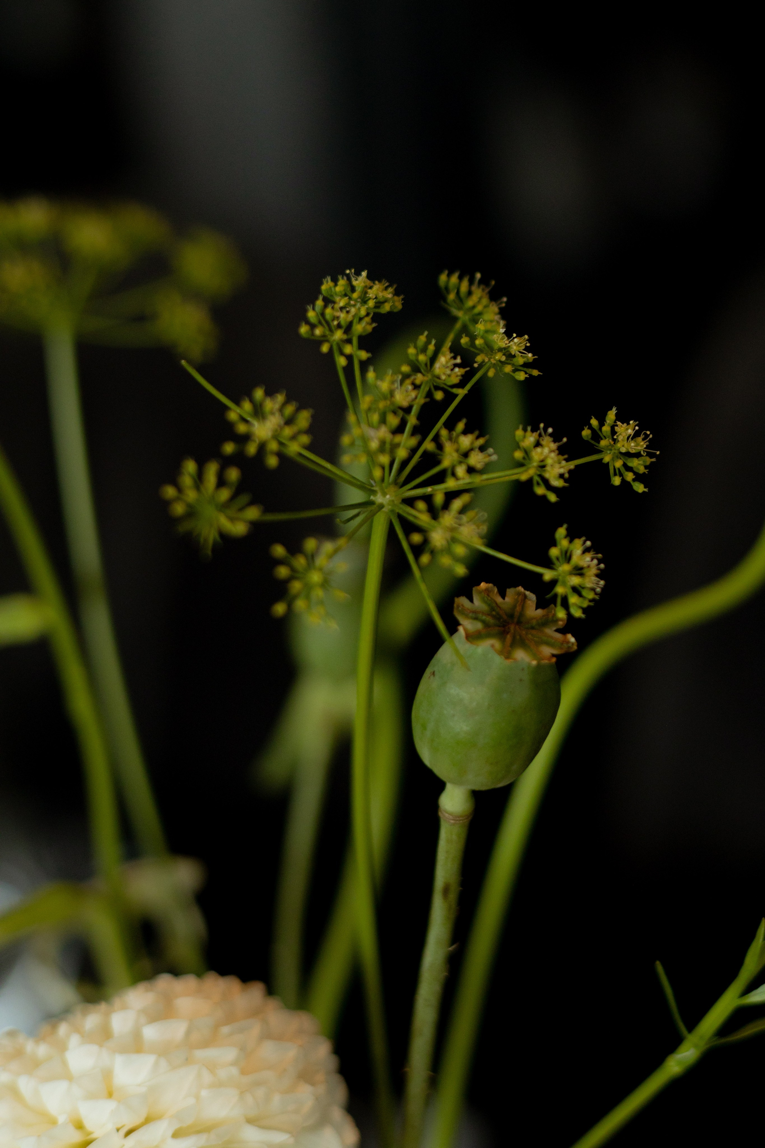 Алина & Николай. Оформление свадеб, декор свадеб Вера Маркова, Москва