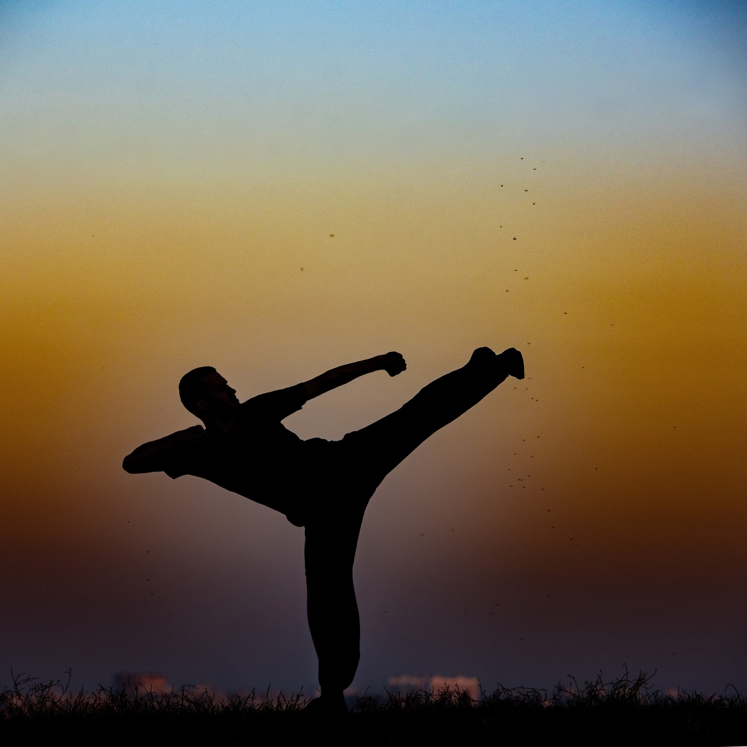 Антон. Главная