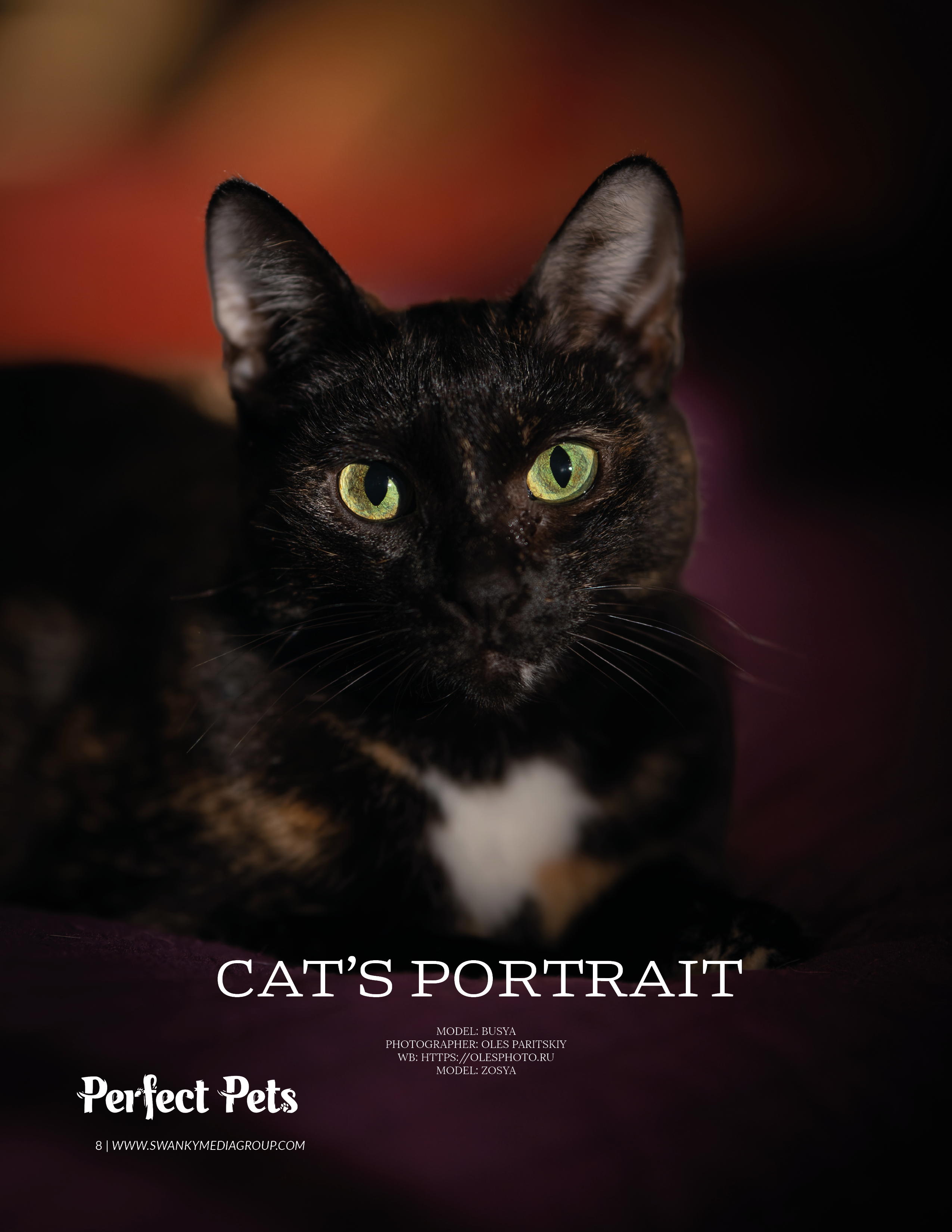 Публикации. Oles Paritskiy