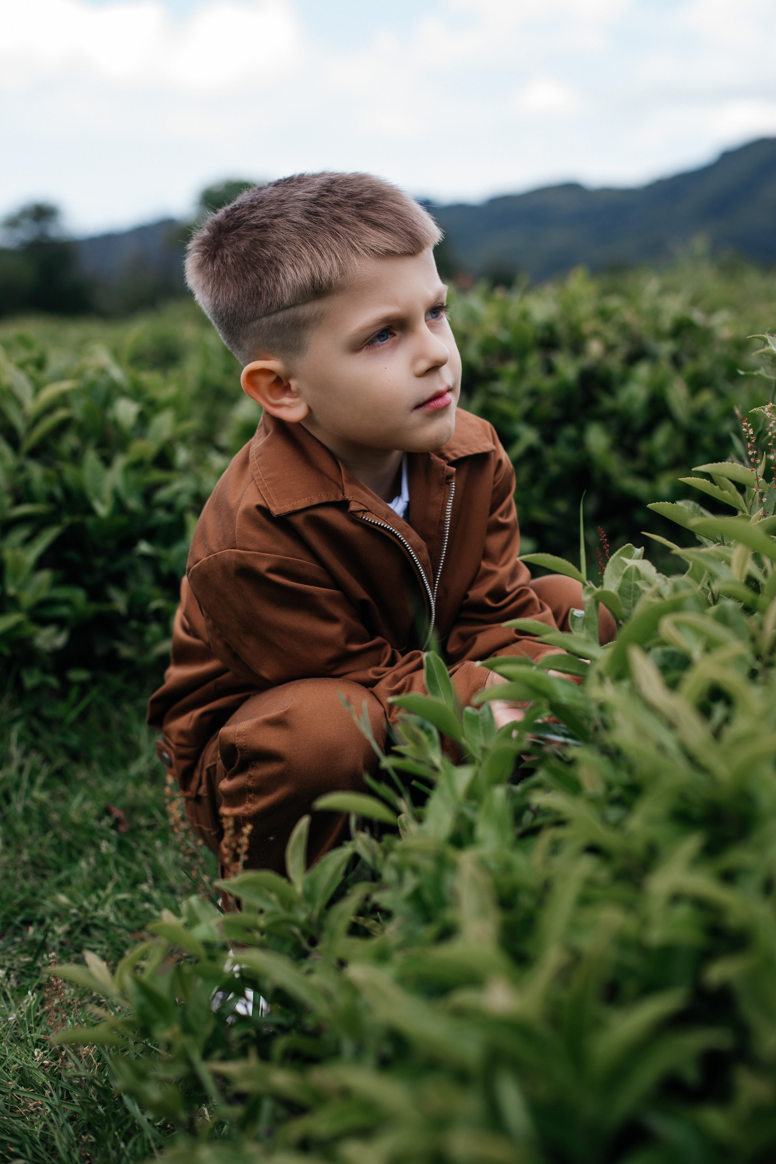 Tea plantation. Efimova Model Agency