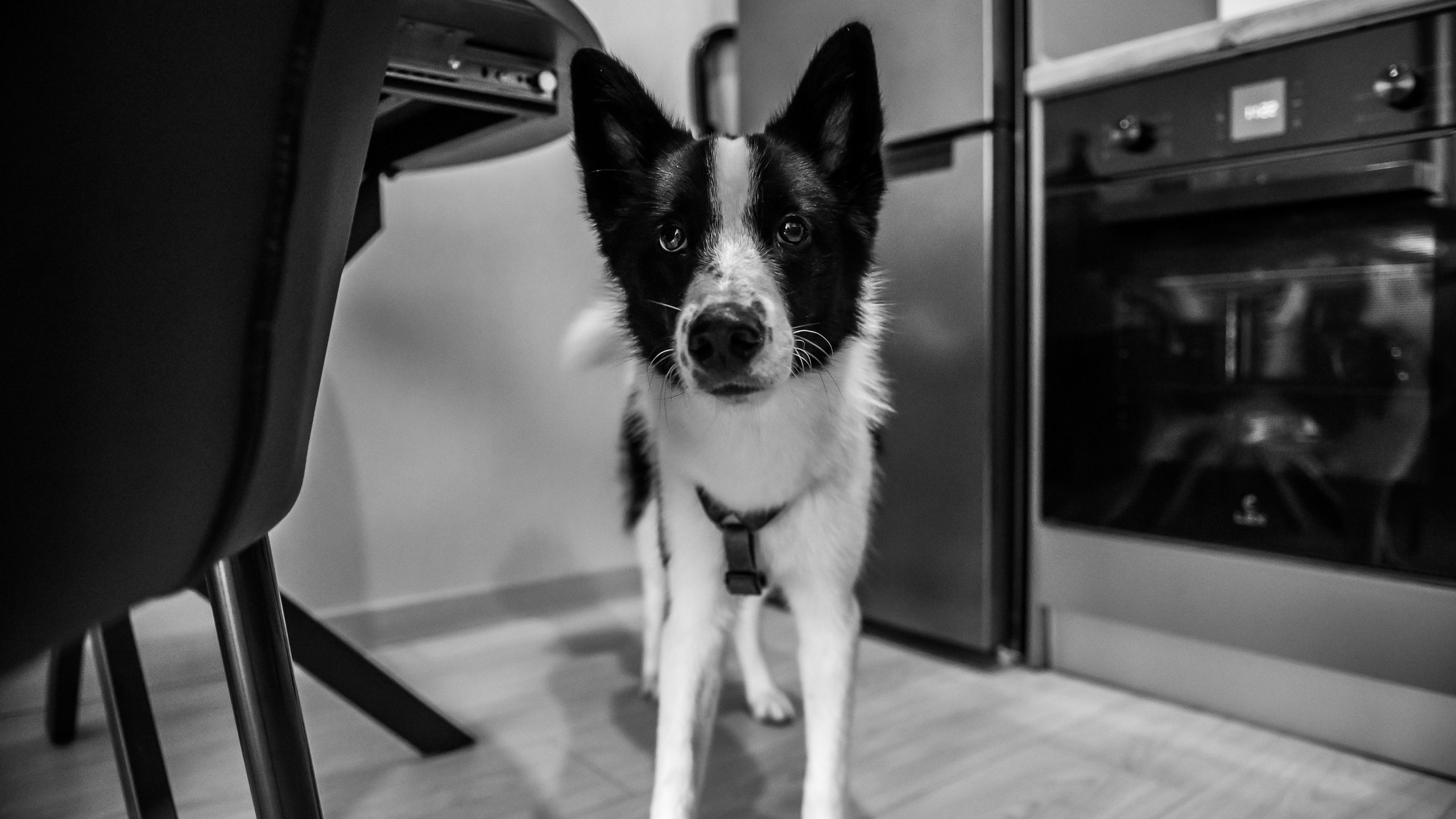 Юра. Фотограф в Благовещенске Андрей Сенченко