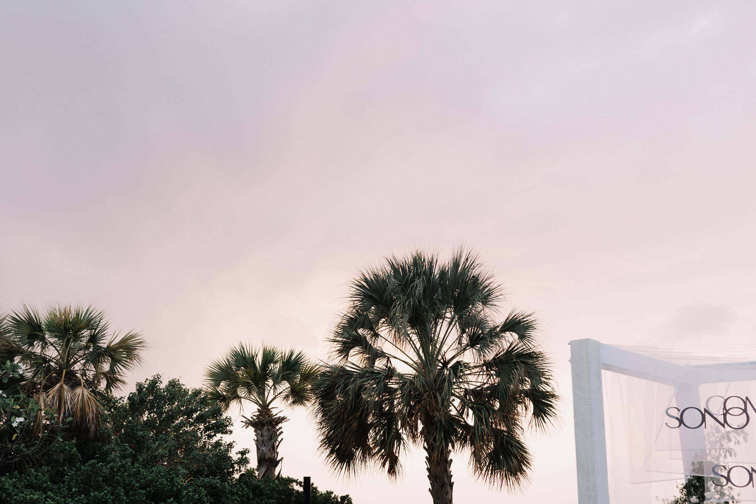 Kamilya & Anas. Свадебный и семейный фотограф в Москве