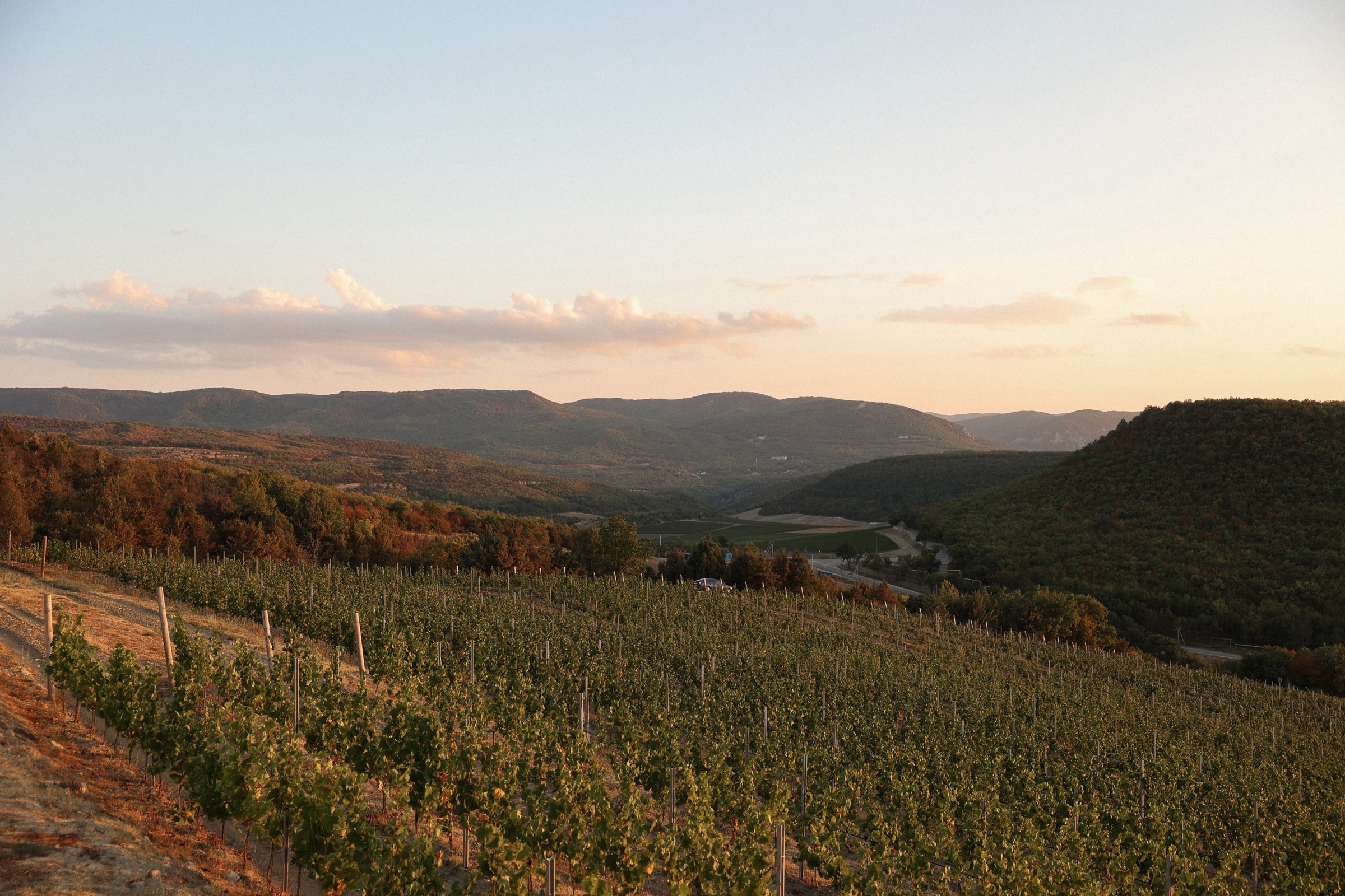 Селим и Мария. Фотограф в Севастополе и Крыму Артем Волобуев