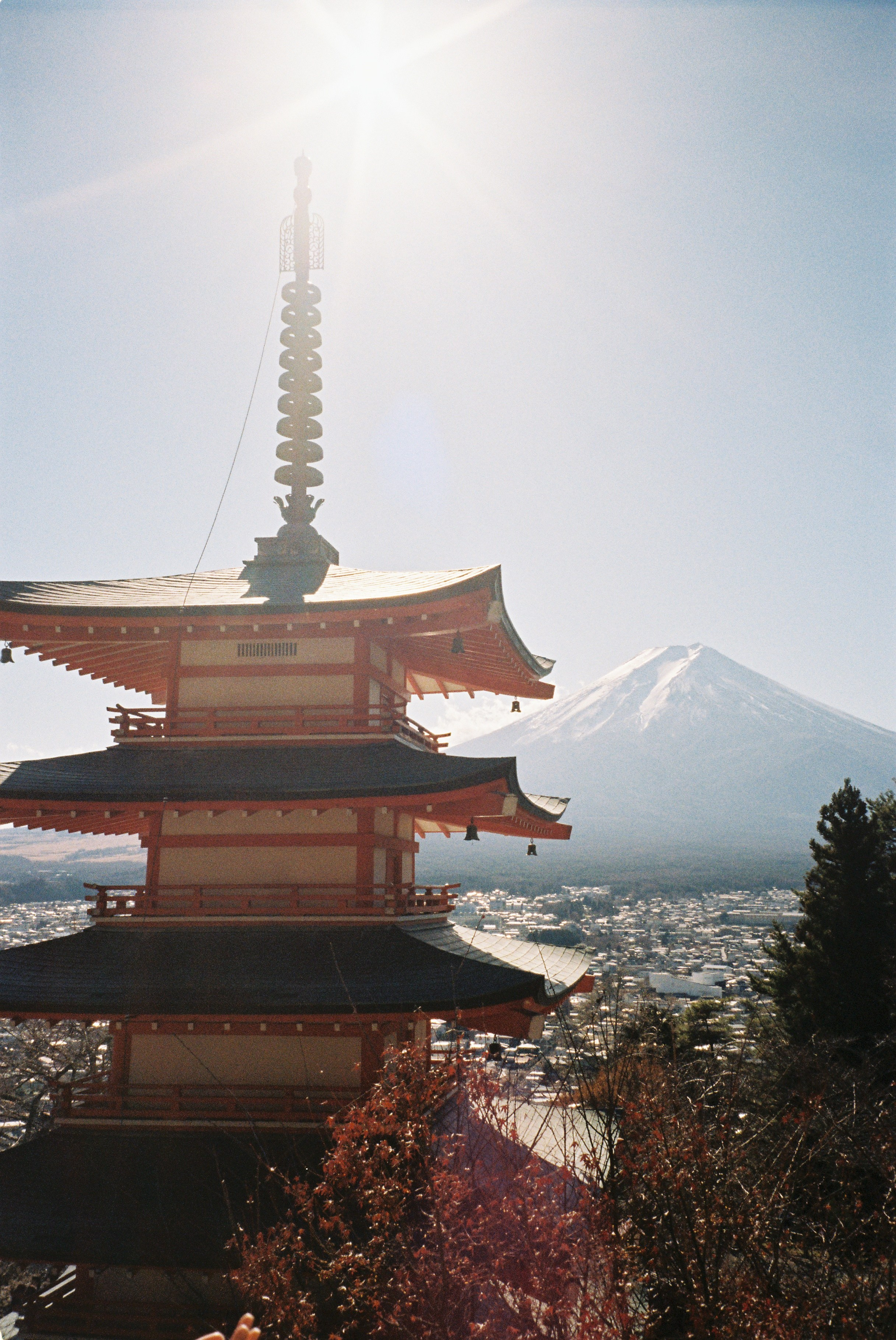 Пленка. Фотограф Алина Диева Москва | Токио