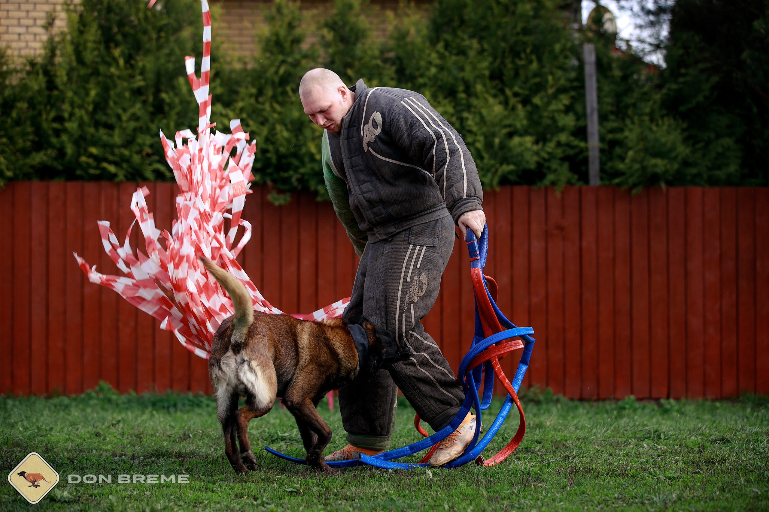 Семинар для фигурантов, день 2. Фотограф-анималист Mary Mart — Москва, Питер