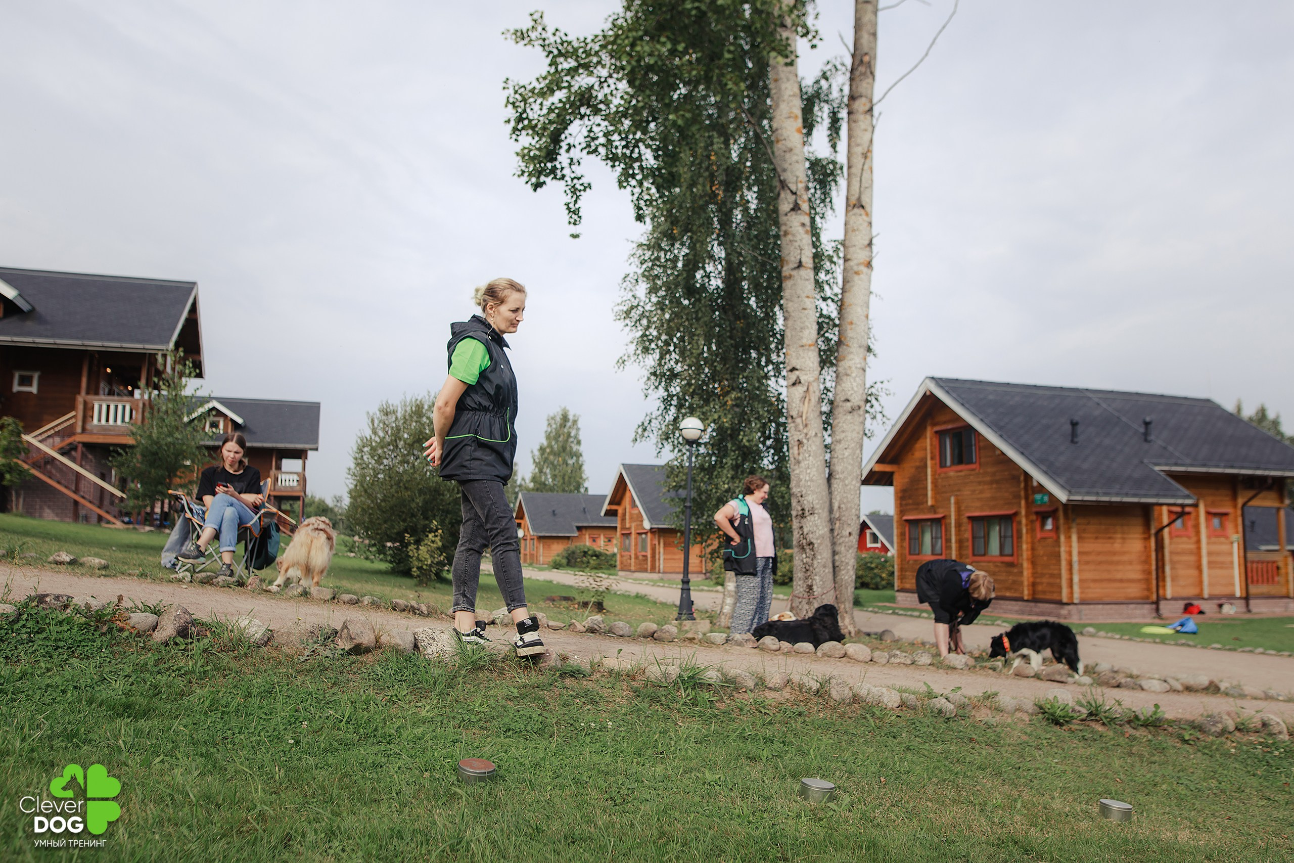 Кинологический лагерь CleverDog, 2024. Фотограф-анималист Mary Mart — Москва, Питер