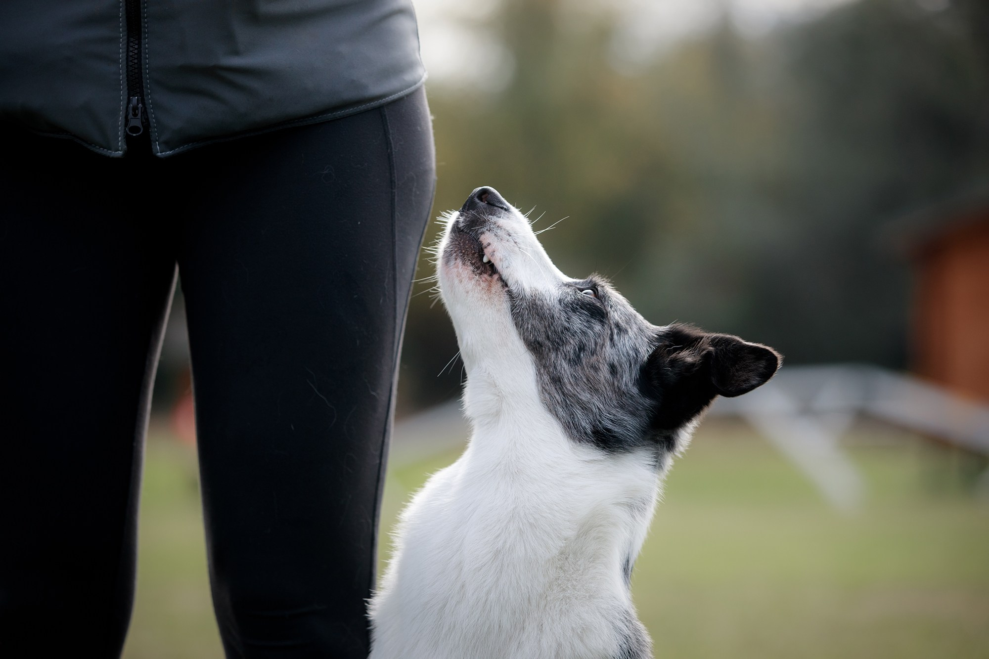 Лагерь по ОБД с Инной Баженовой. Фотограф-анималист Mary Mart — Москва, Питер