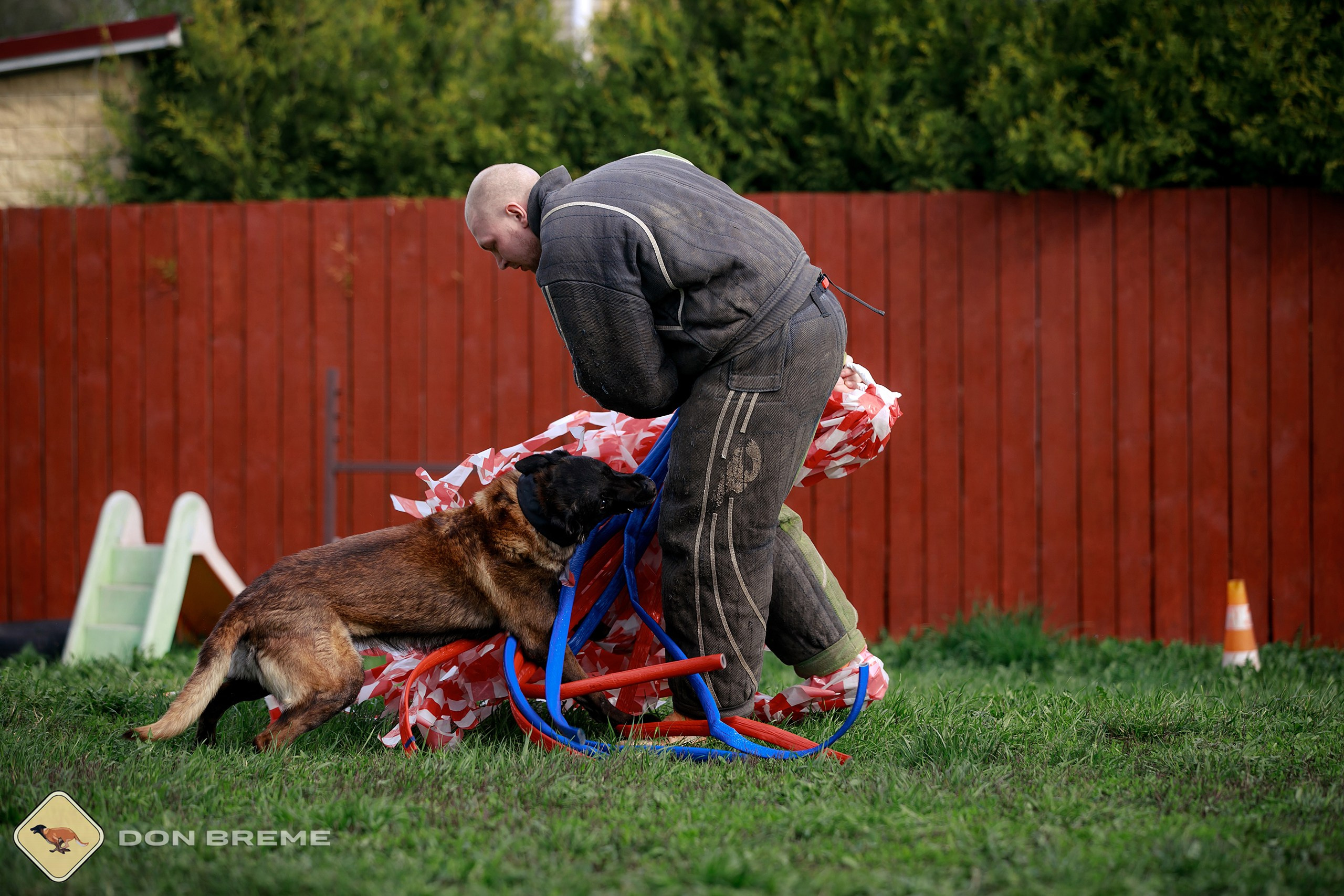 Семинар для фигурантов, день 2. Фотограф-анималист Mary Mart — Москва, Питер