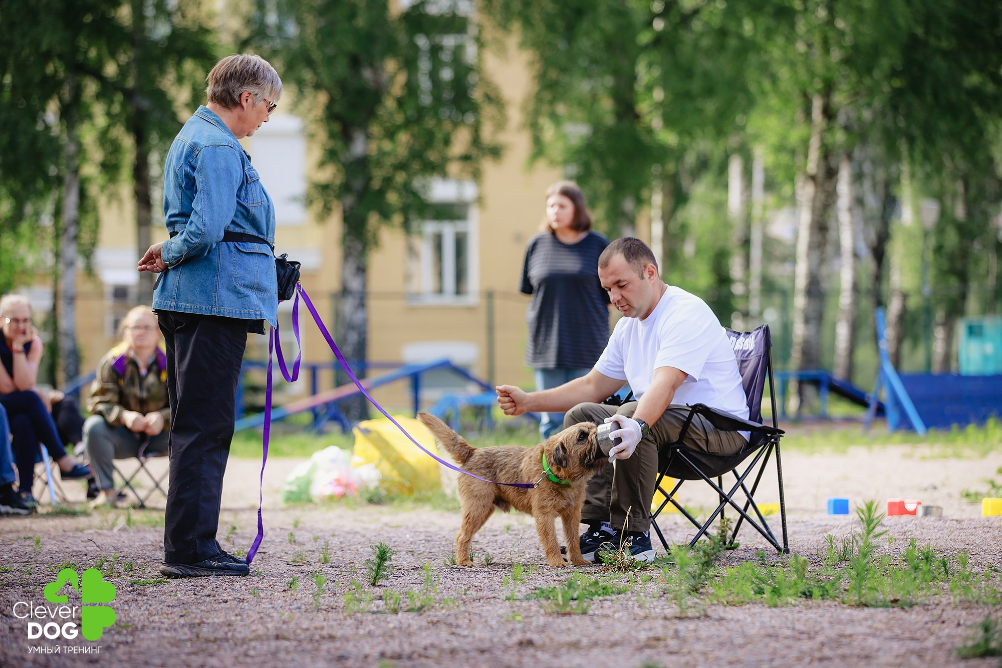 Семинар по поиску запаха с Иваном Ломовым, организатор CleverDog, СПб. Фотограф-анималист Mary Mart — Москва, Питер