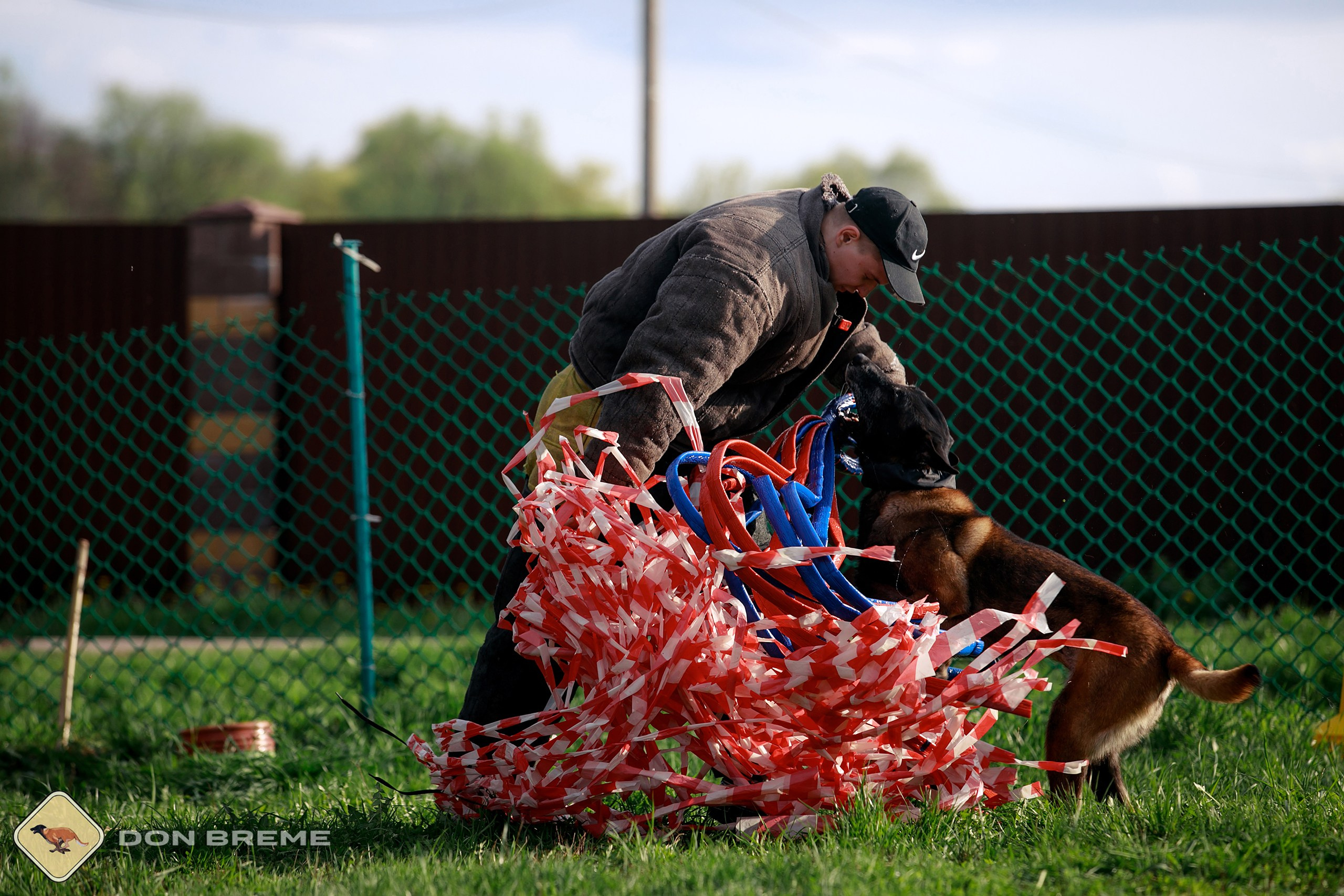 Семинар для фигурантов, день 2. Фотограф-анималист Mary Mart — Москва, Питер