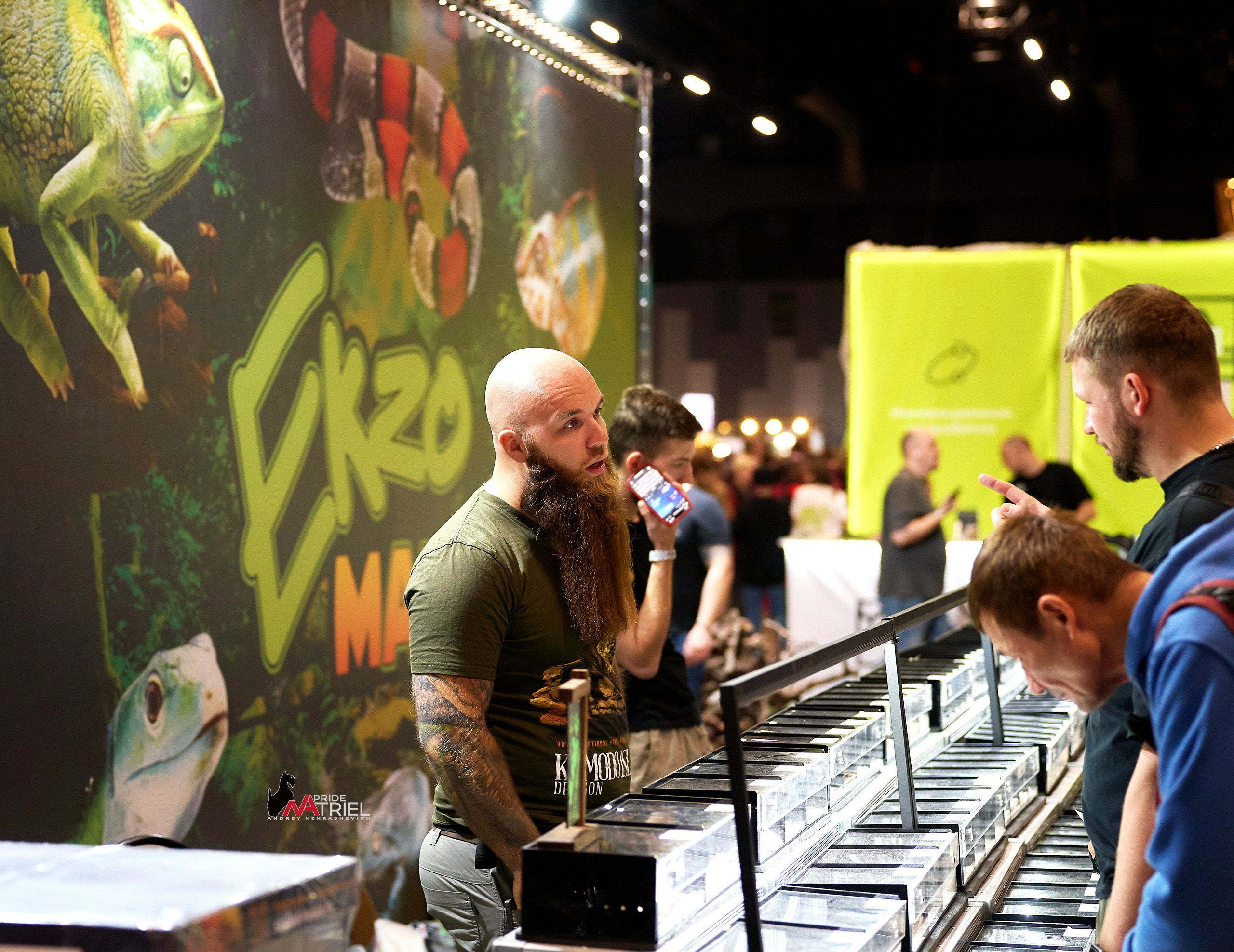 Выставки животных — галерея NATRIEL