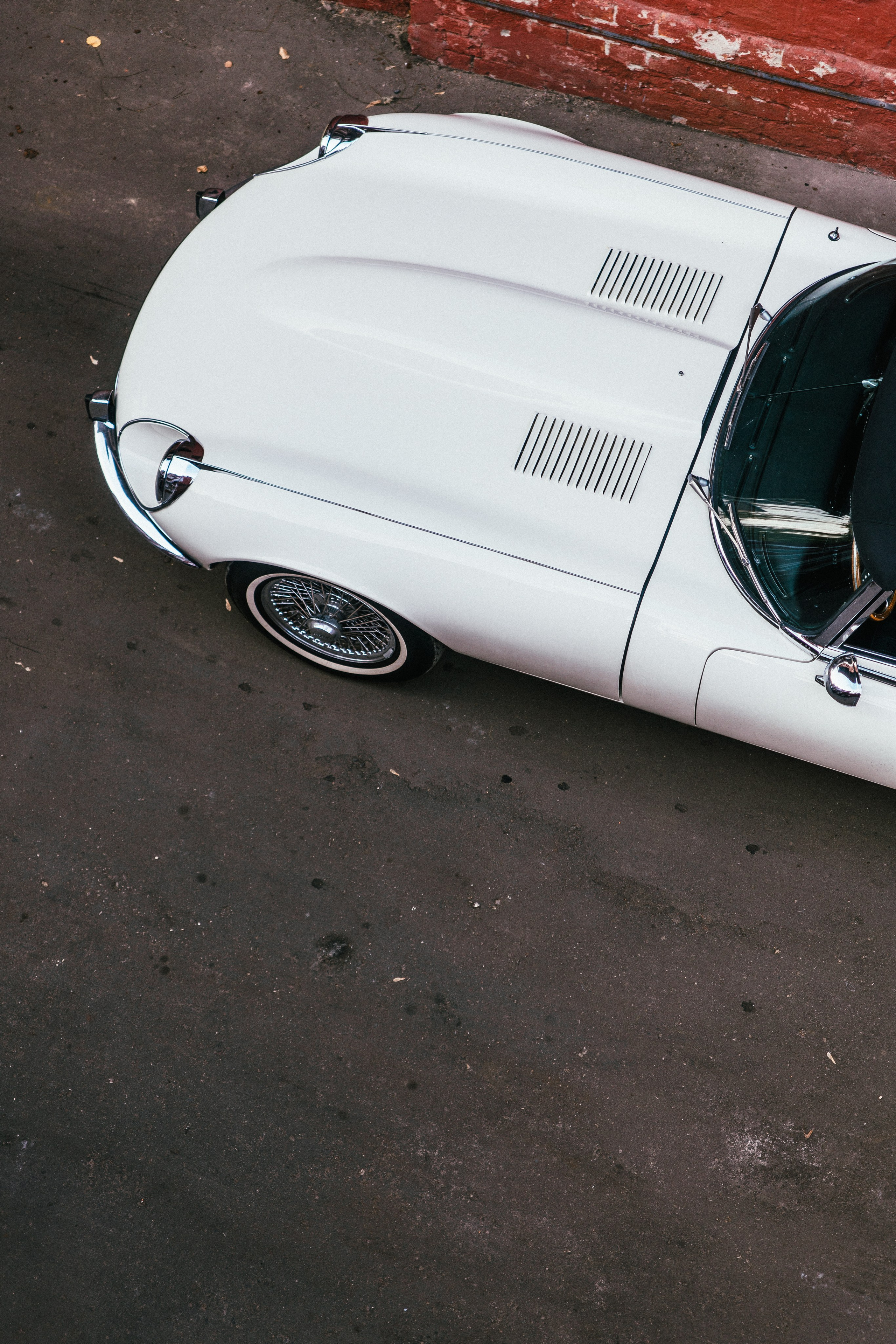 Jaguar 6. Жуков Илья  свадебный фотограф в Москве