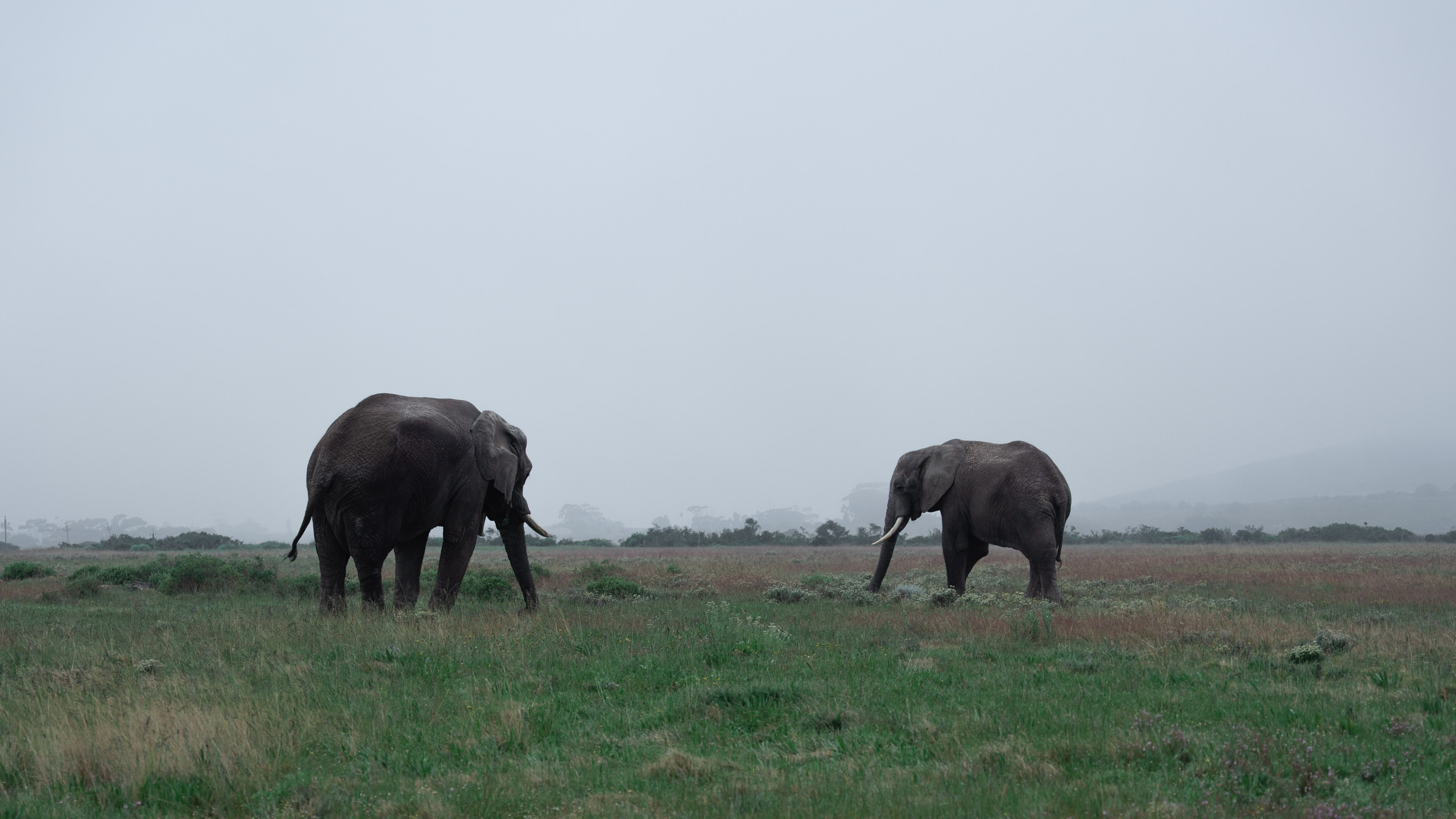 Africa/UAR. @oljiofilm: Олег Иванов — фотограф