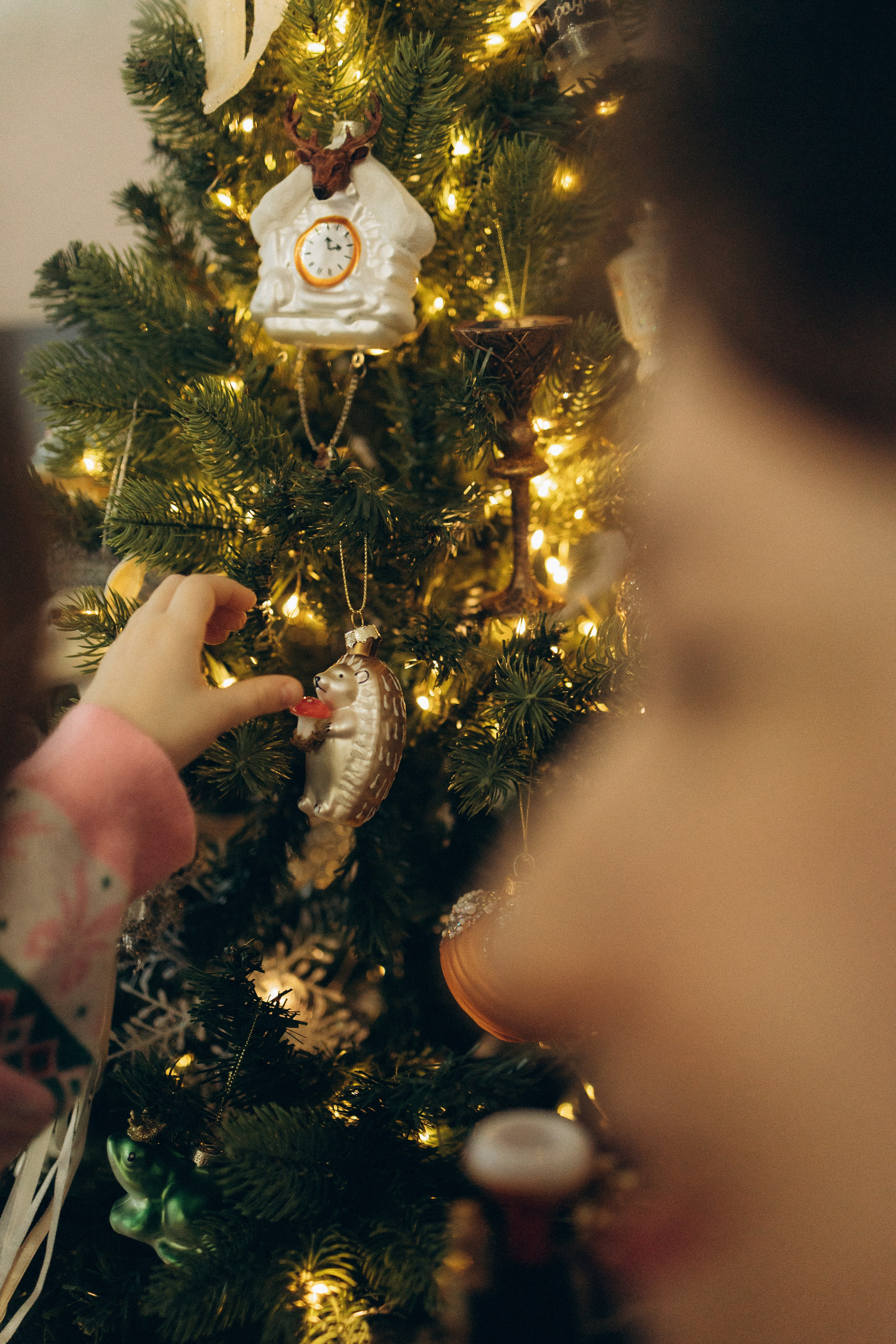 Семейные. Семейный фотограф Новосибирск Фотограф на выписку Новосибирск