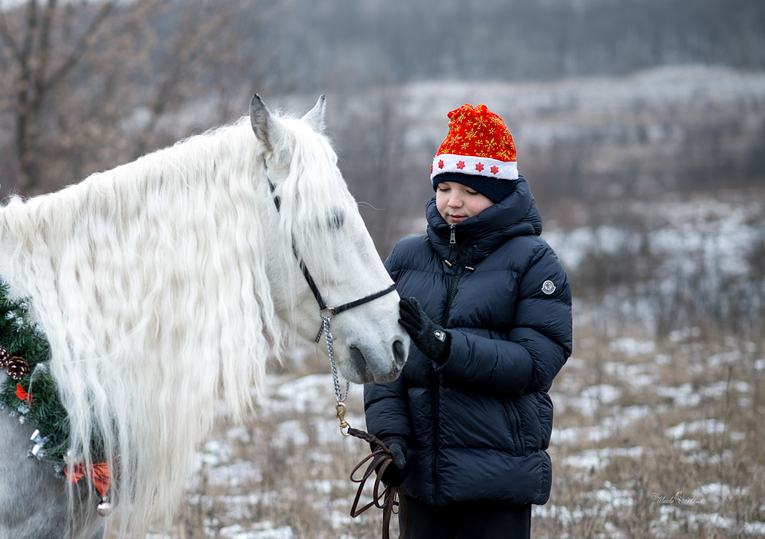 Дети и Вымпел. Конный фотограф в Саратове Юлия Иванова