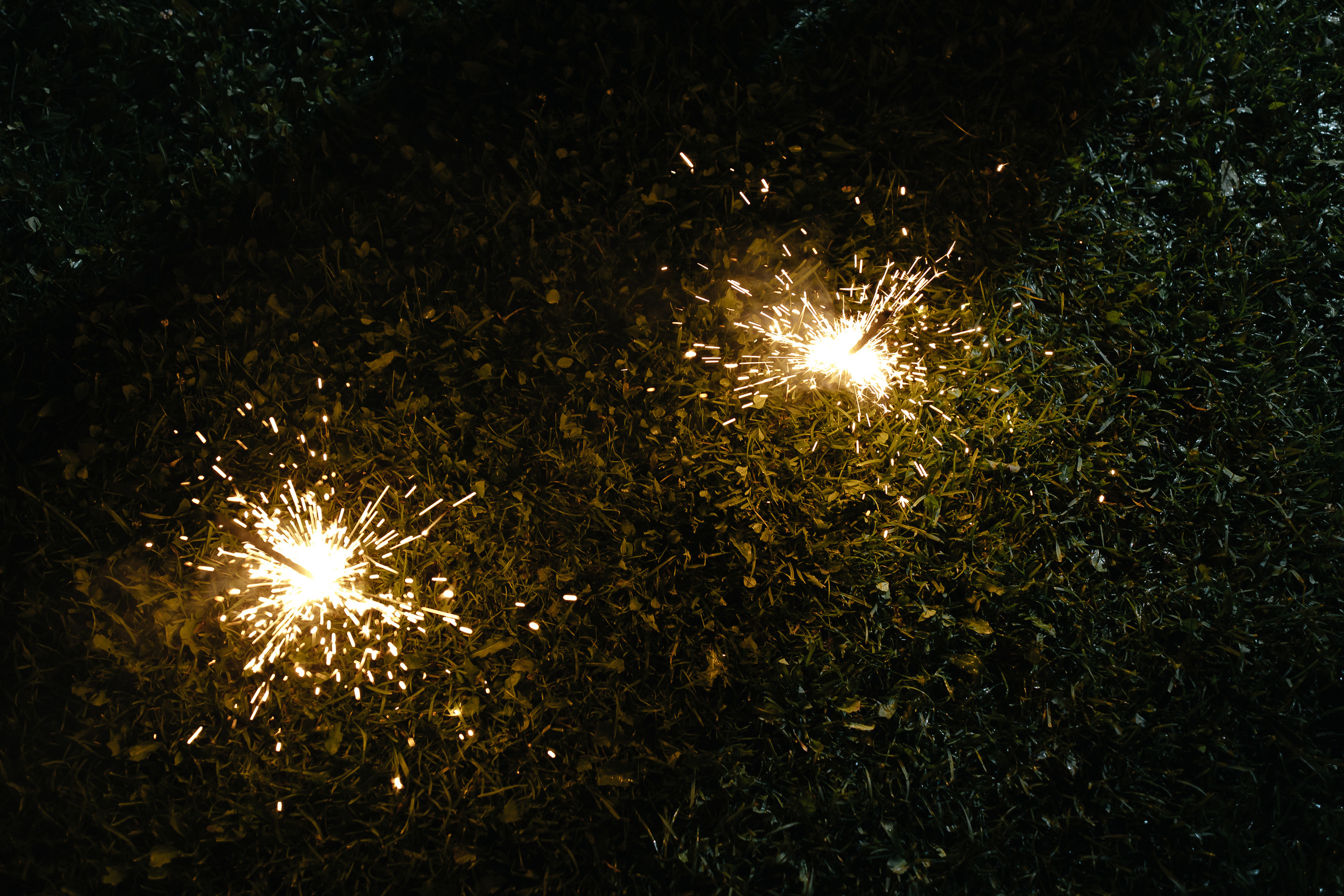 Дима & Алена. Свадебный фотограф Евгений Мирончев