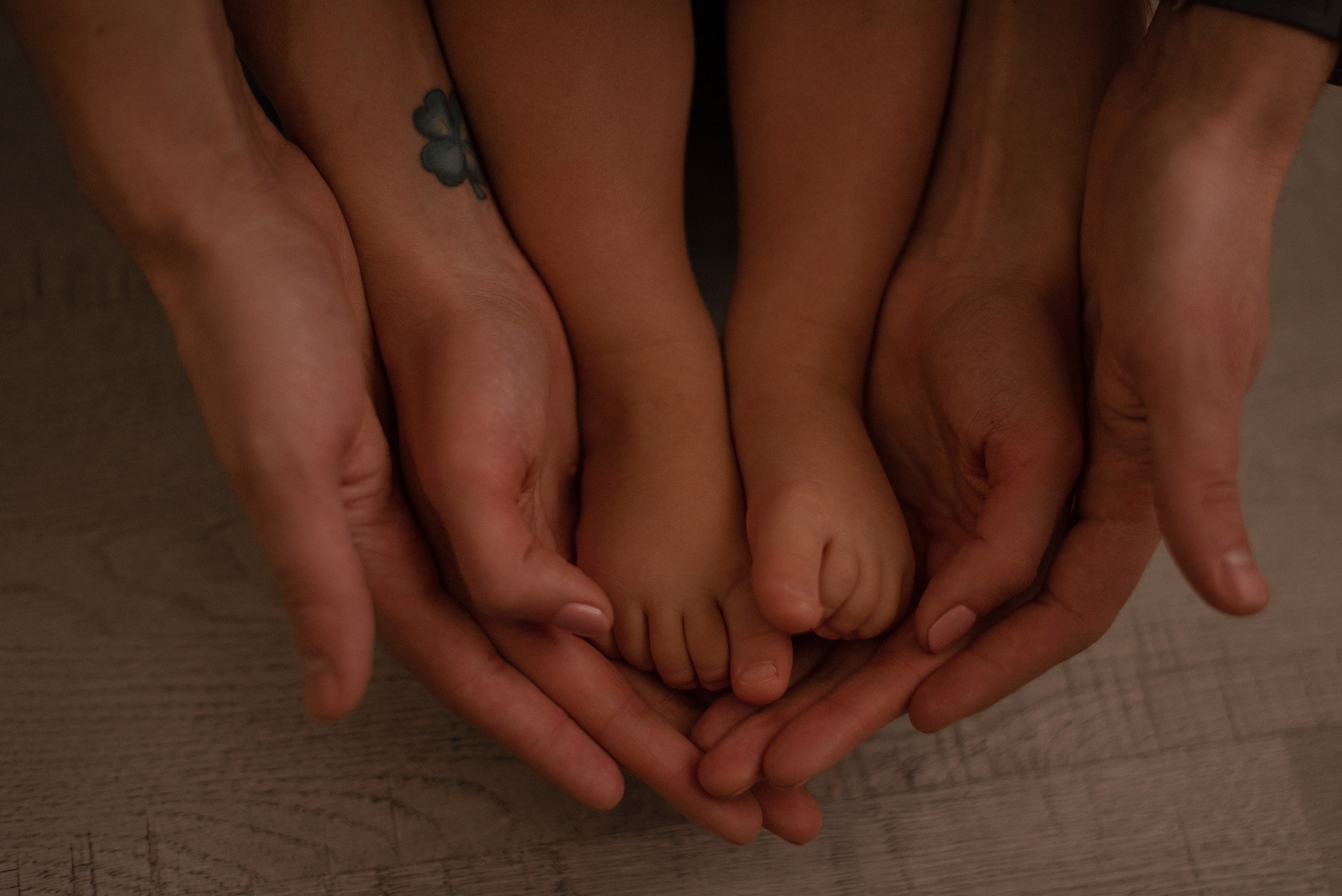 Домашняя фотоистория. Фотограф  Потапова Анна