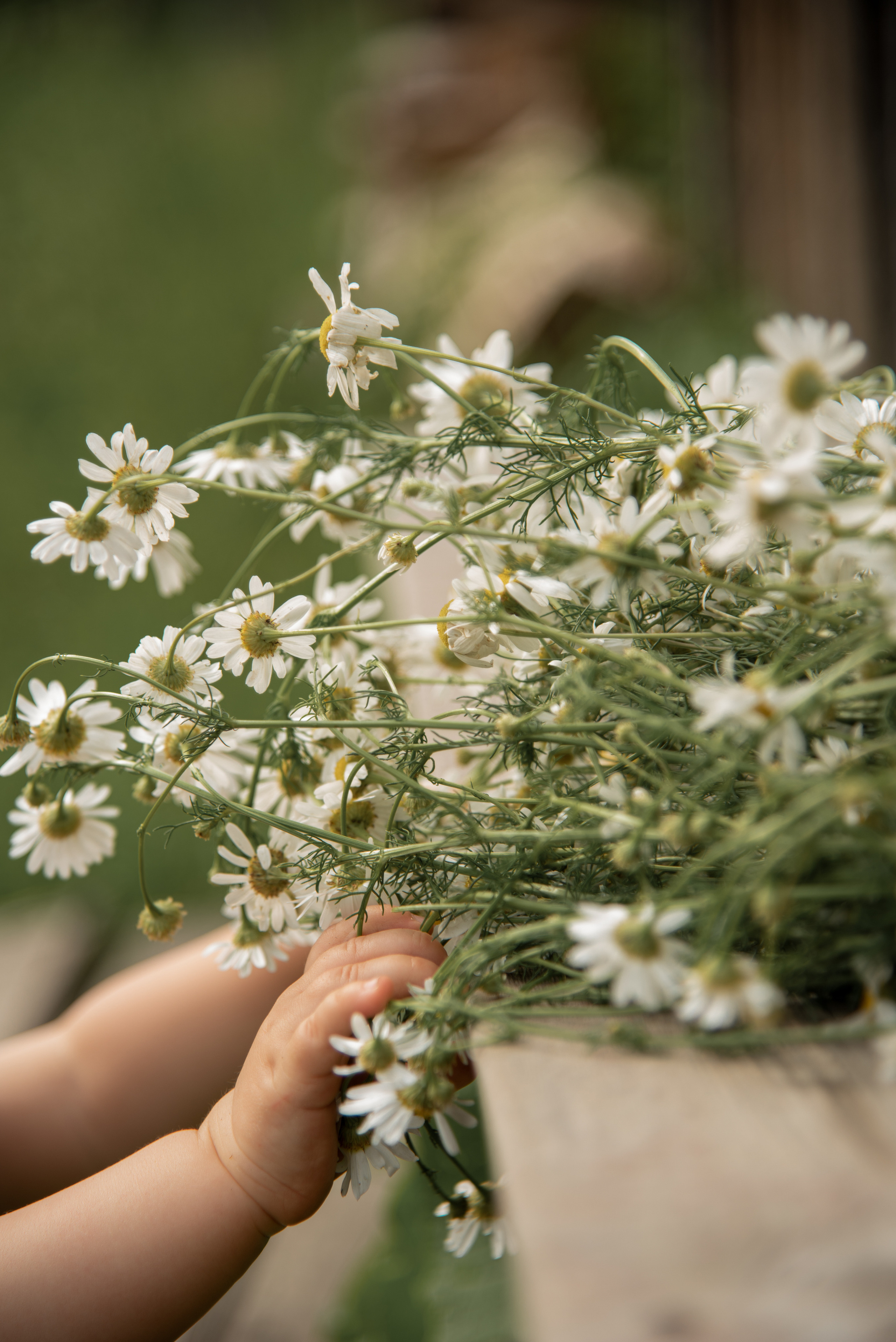 В деревне летом. Фотограф  Потапова Анна