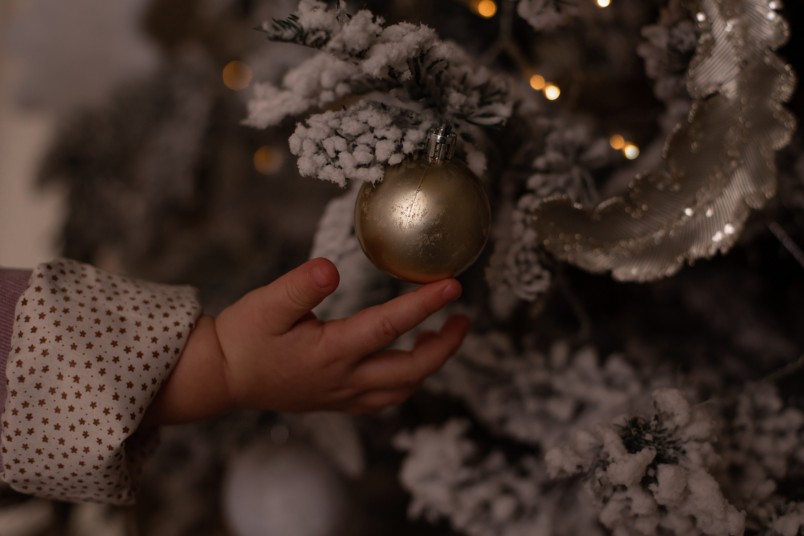 Дарья с семьёй. Фотограф  Потапова Анна