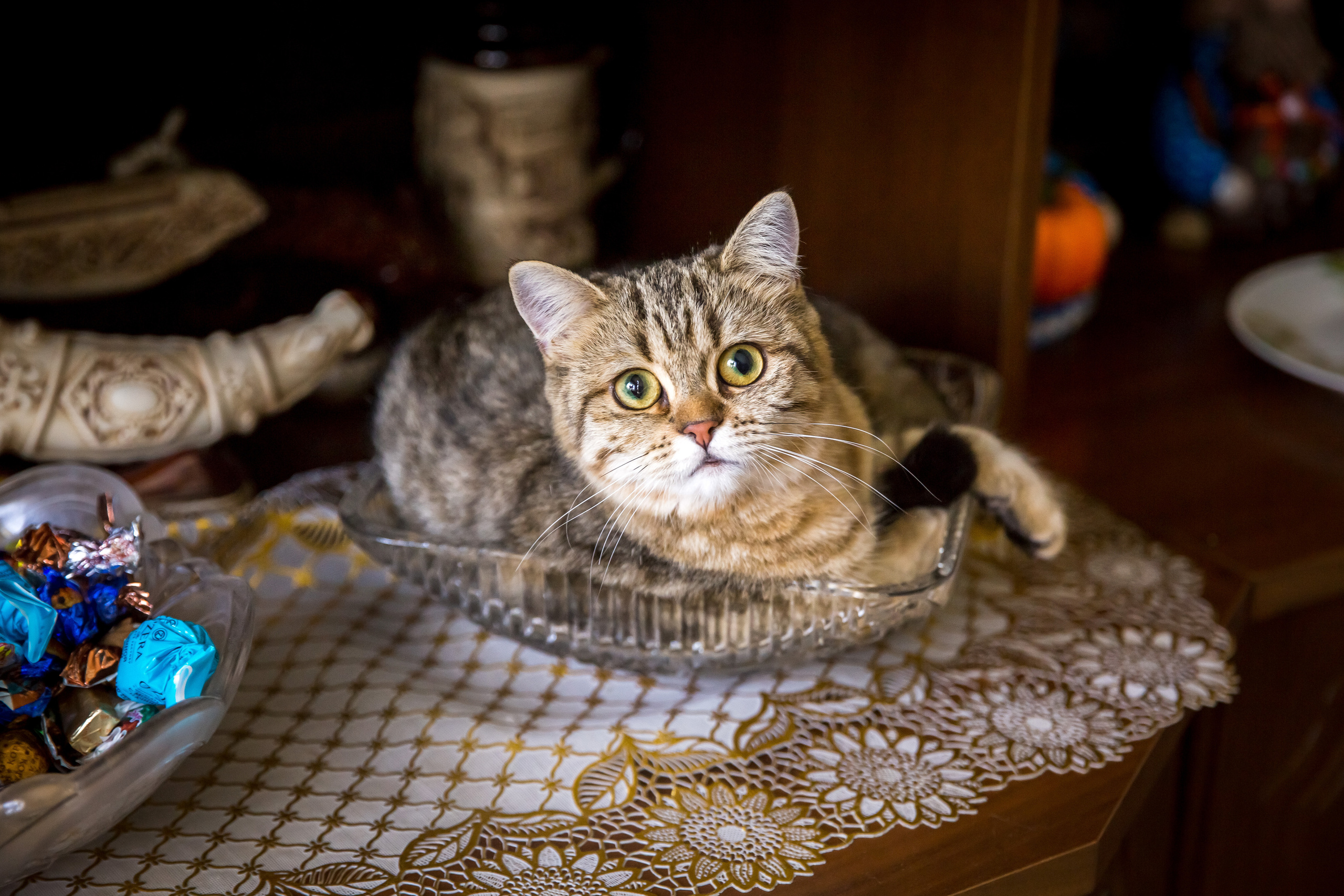 Маргарита и Дмитрий. Свадебный, семейный и детский фотограф в Алексеевке Анастасия Ковальчу