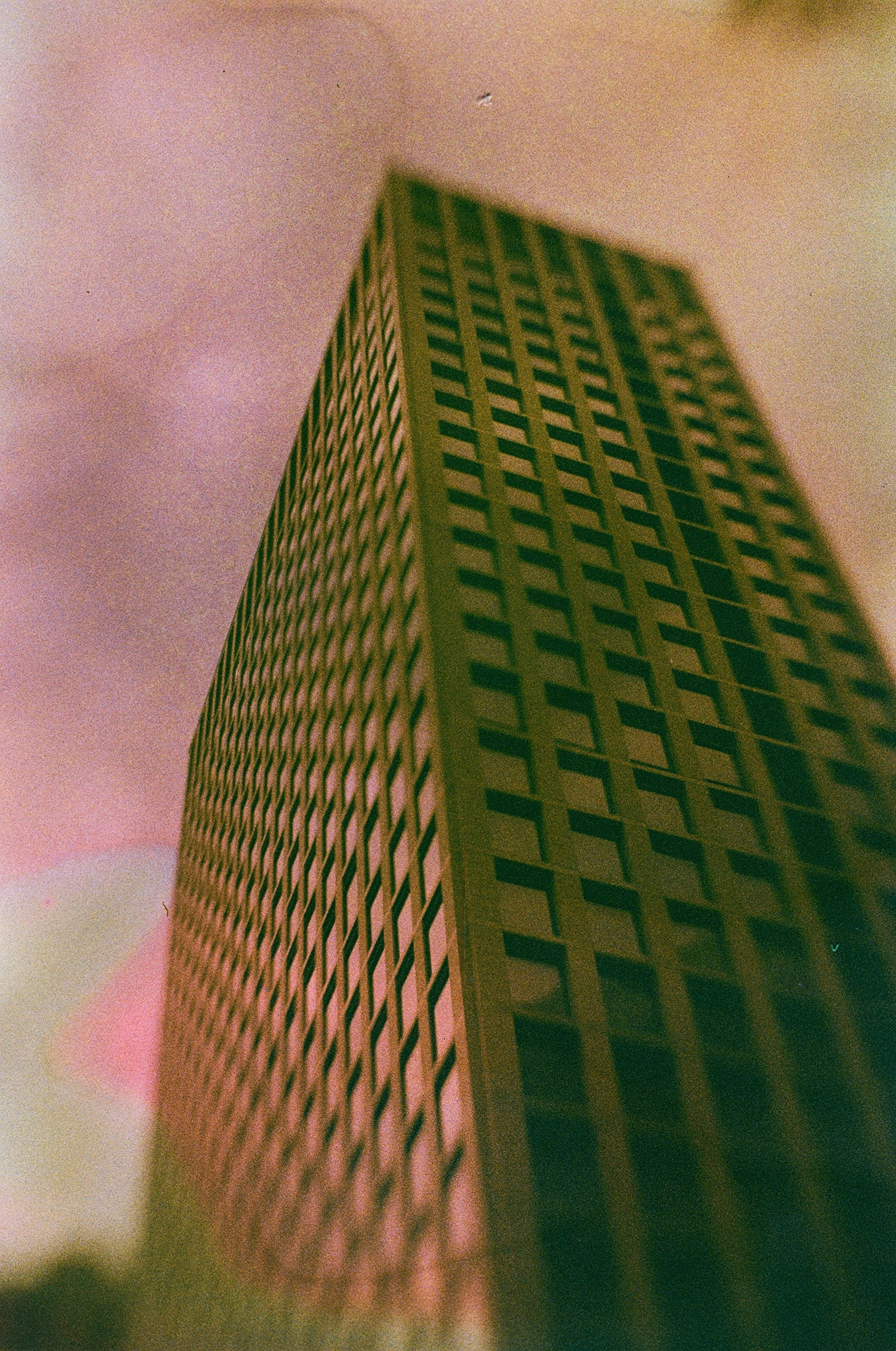 JAPAN FILM. International visual artist