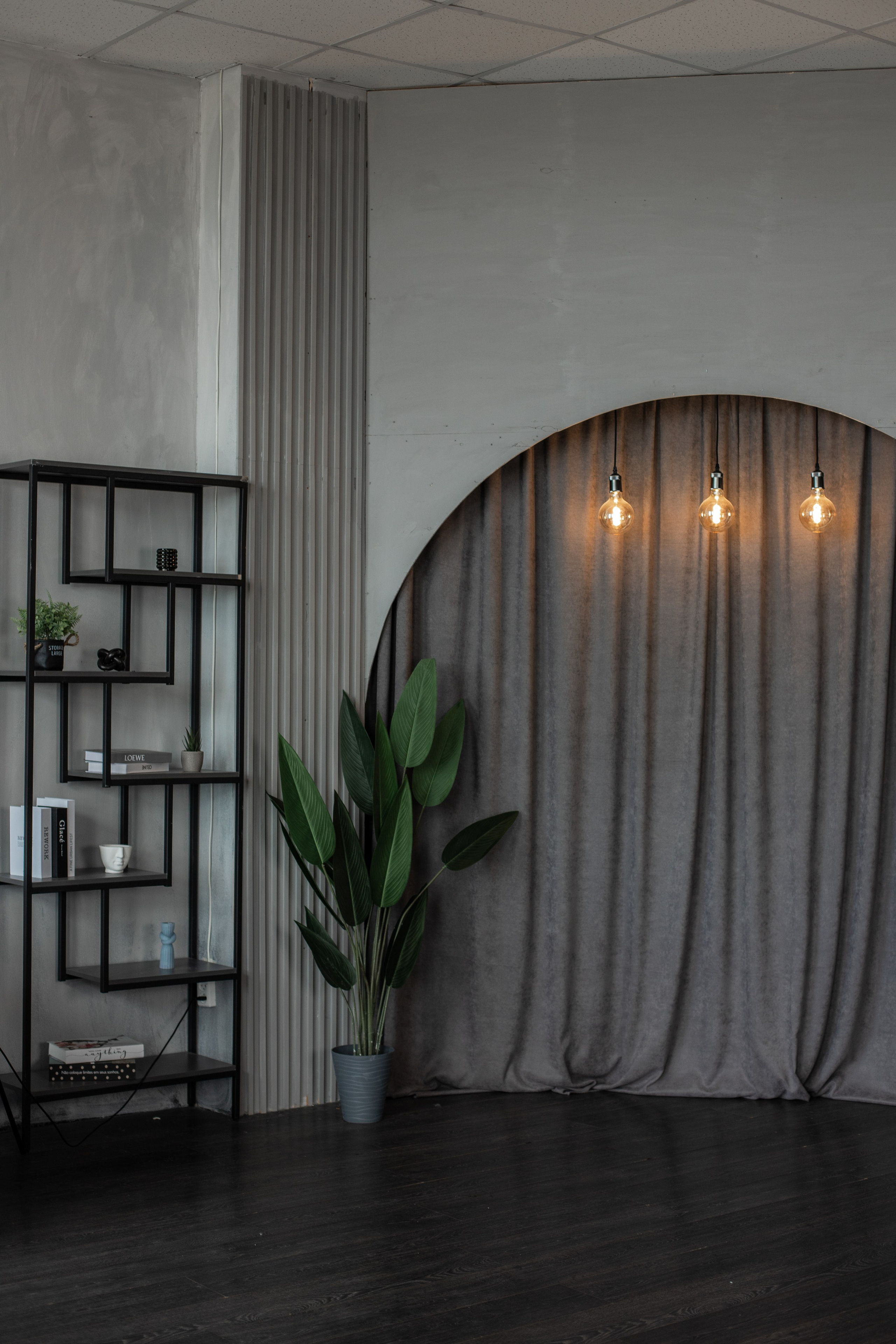 Честер (студия Зеркало). Фотограф г. Хабаровск. Семейные и индивидуальные съёмки