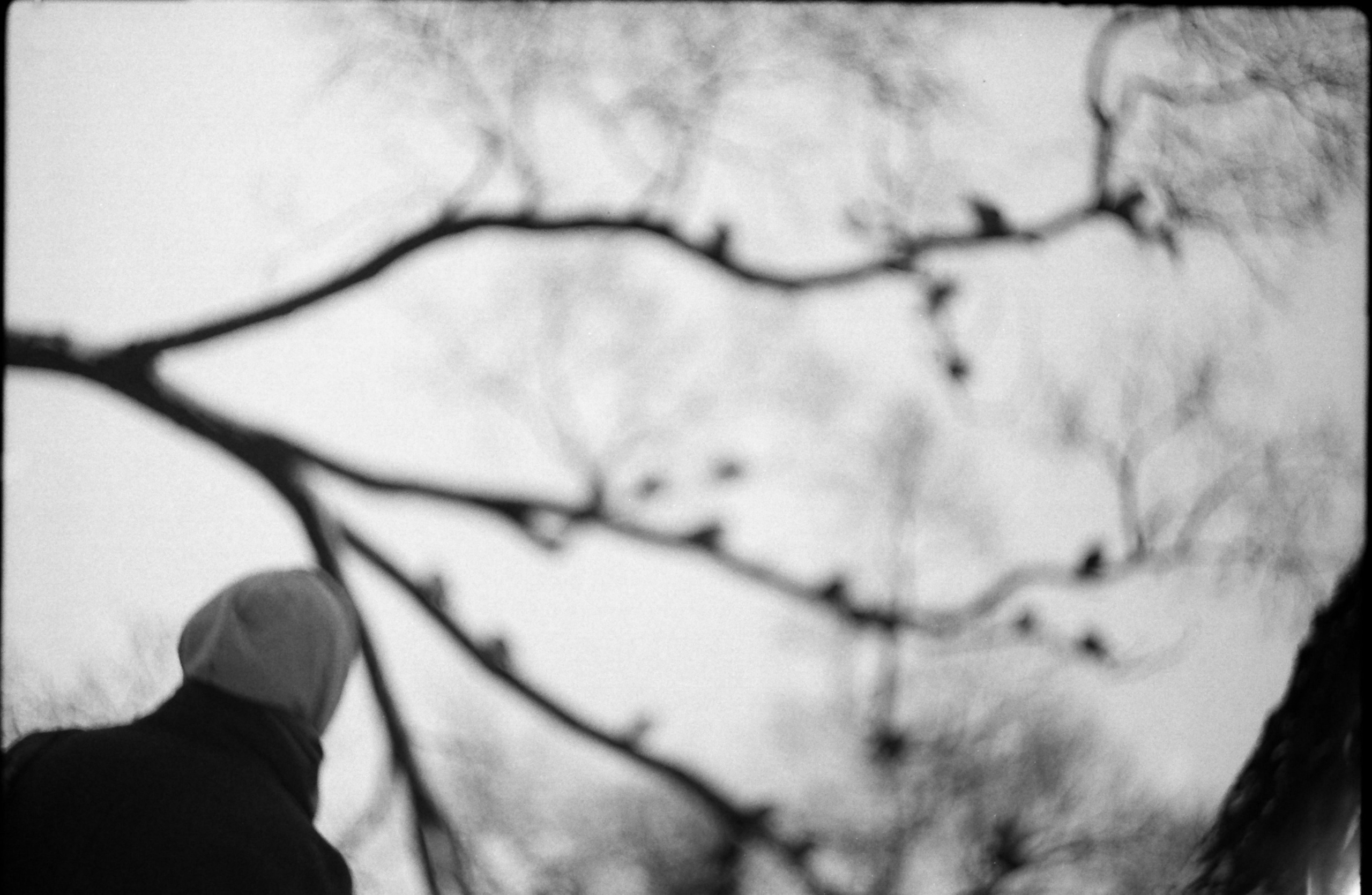 Spaces and faces 2013-∞. Наталья Рутова