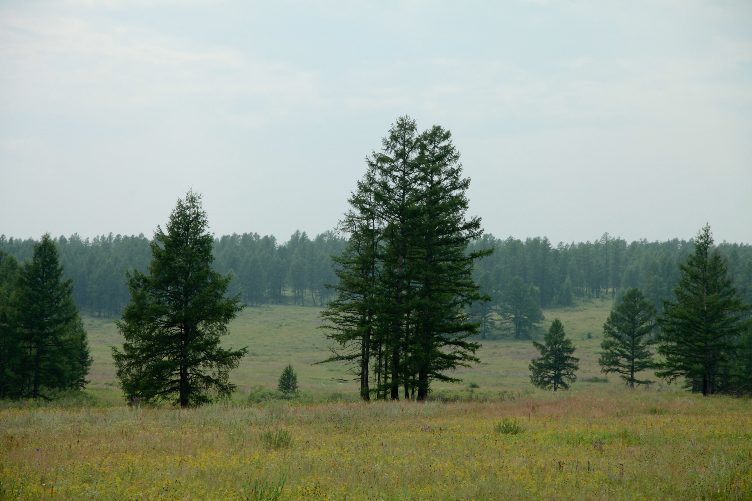 Фото Природы Забайкалья. Студия Максима Белослюдцева