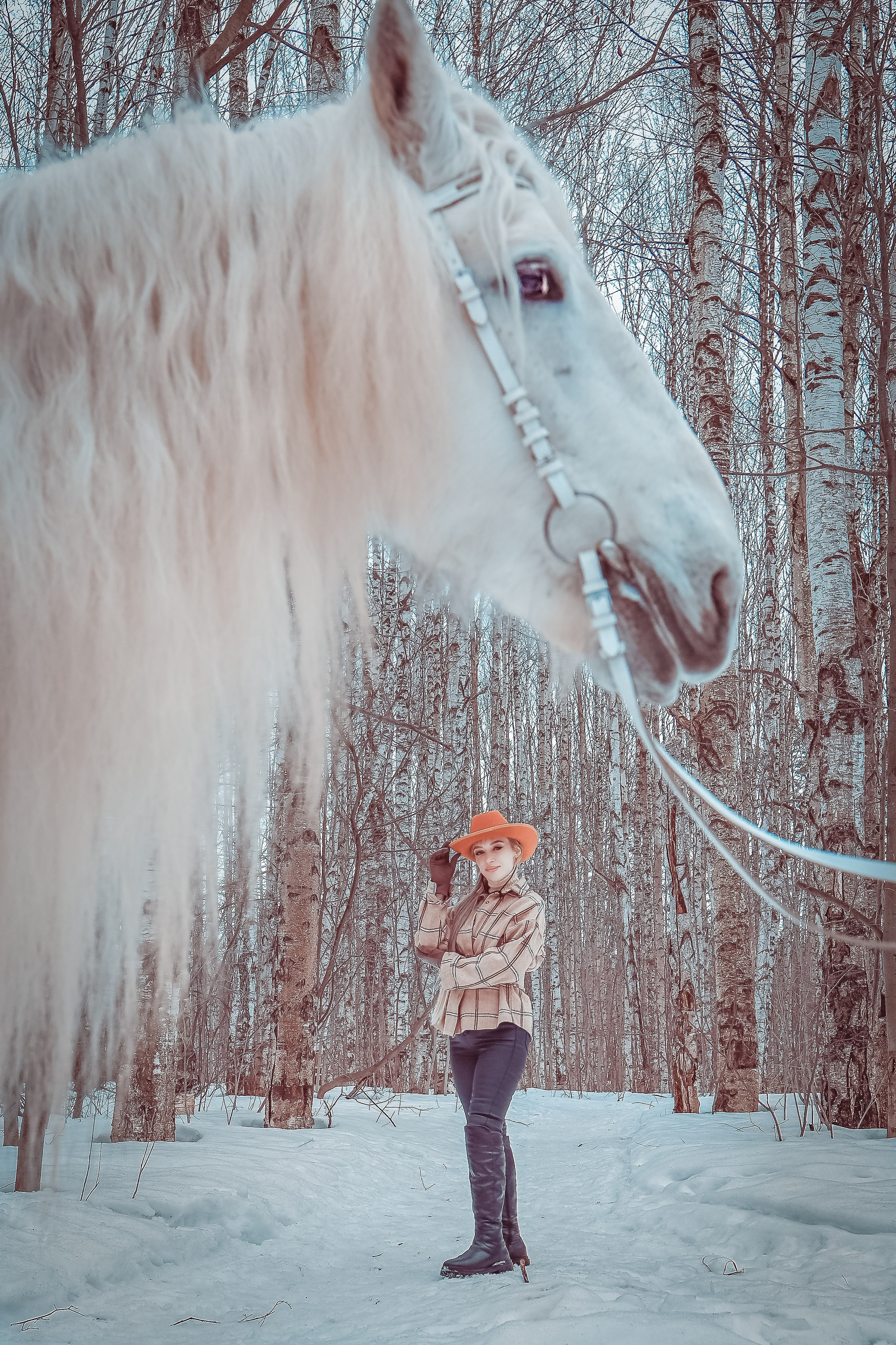 Конная прогулка с Ириной!. Фотограф Нина Пашина — Пермь