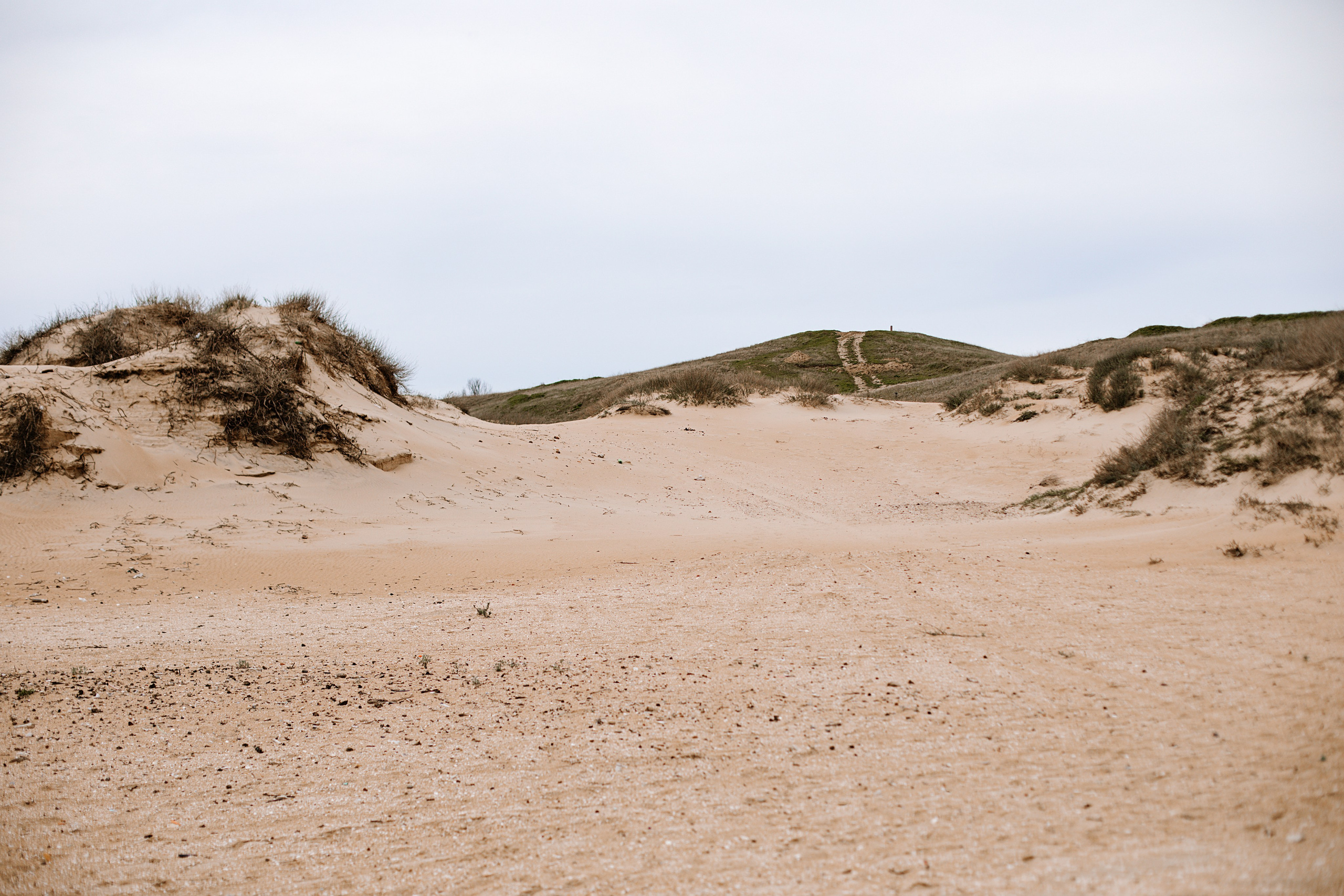 Природа. Свадебный и семейный фотограф/видеограф в Краснодаре Наталья Осинская