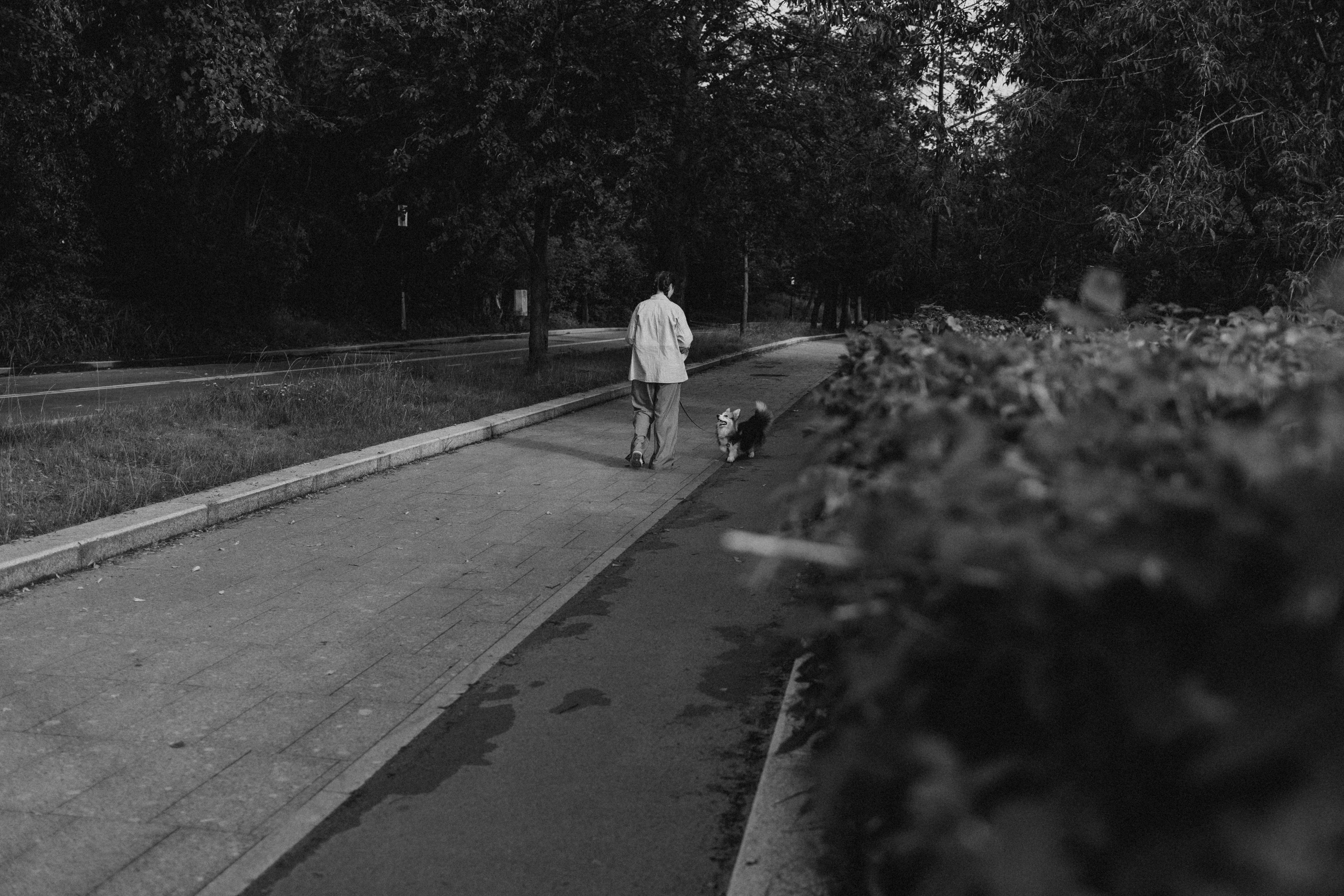 Мишель и Влада. Фотораф — анималист Мария Шистка