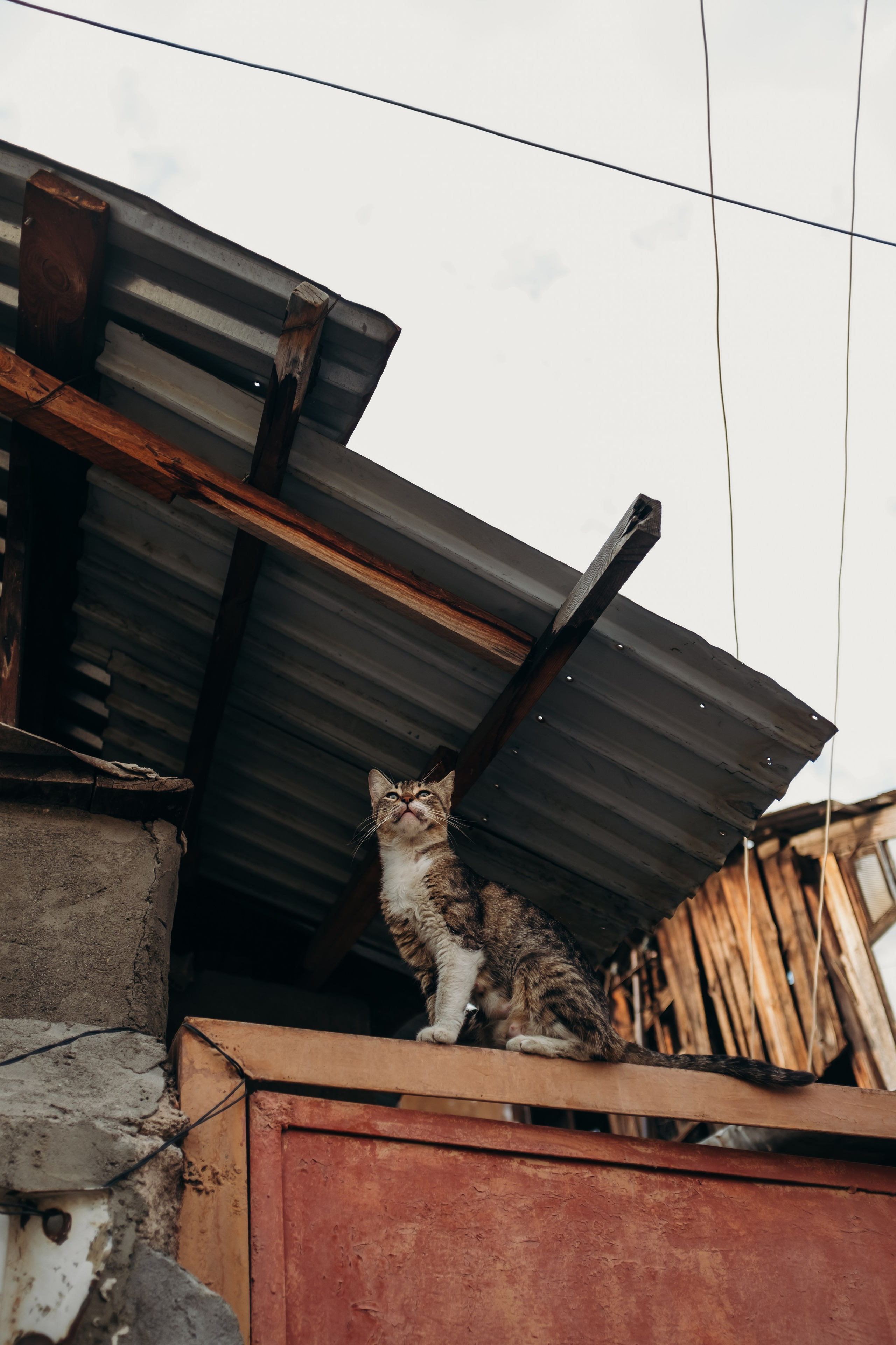 Армения. Фотограф Екатерина Катунова | Москва
