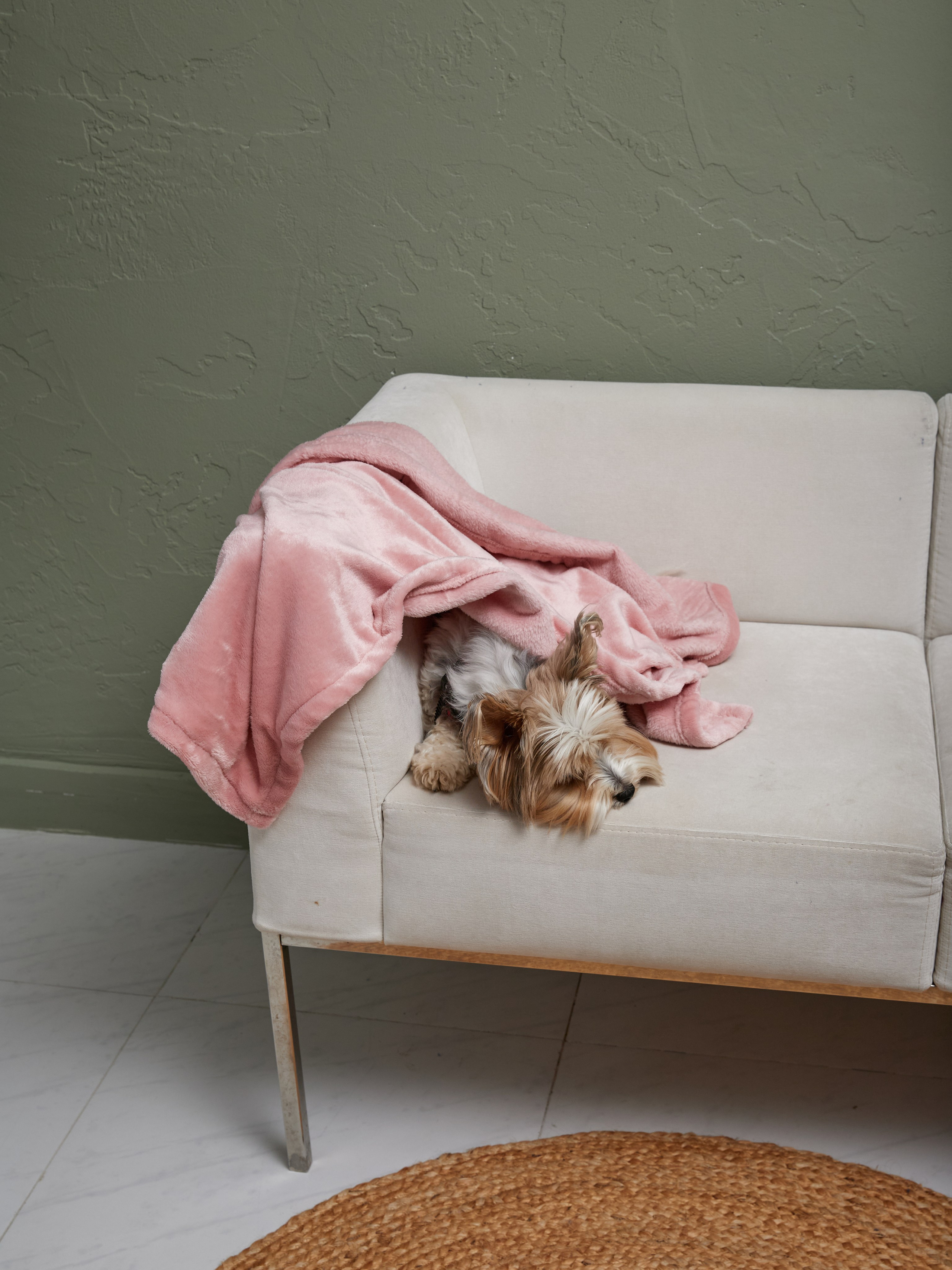 Лежанки. Фотограф