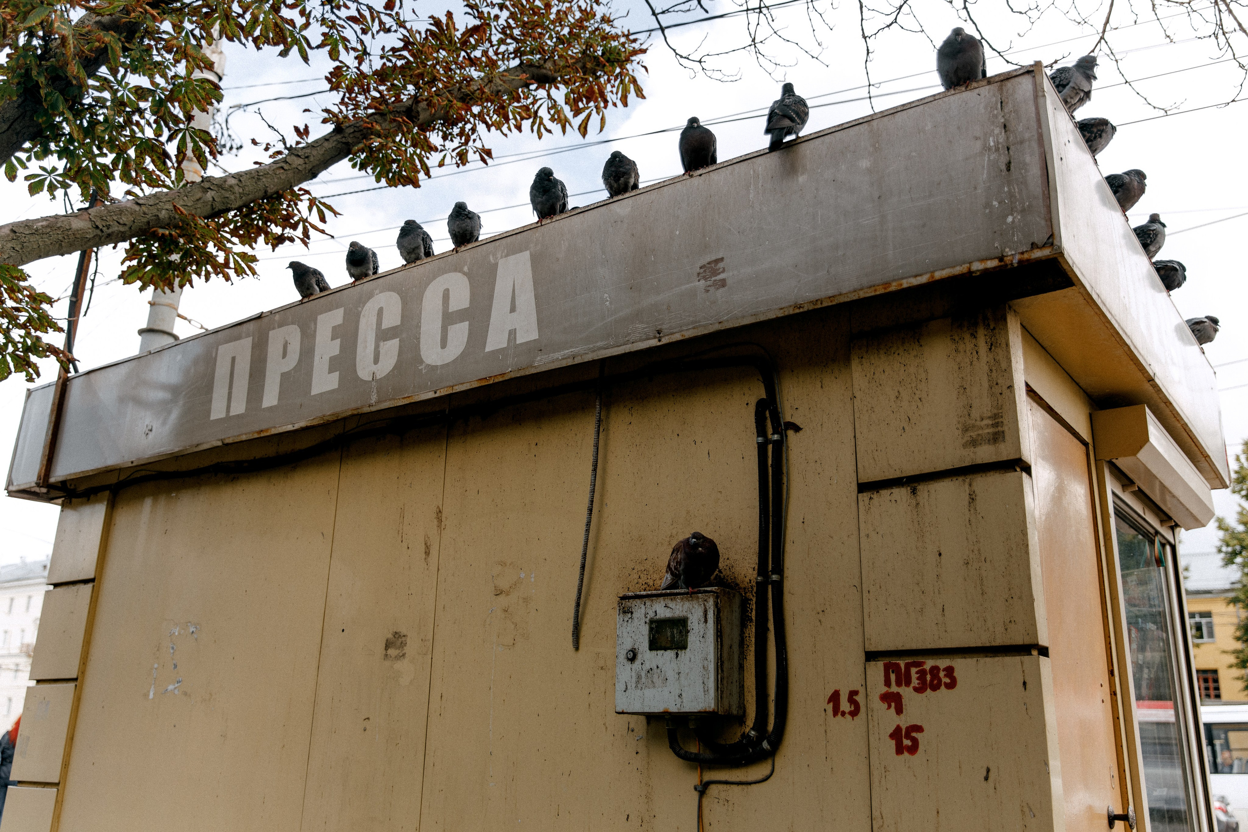 Три штыка. Свадебный и семейный фотограф в Туле и области Маша Костина