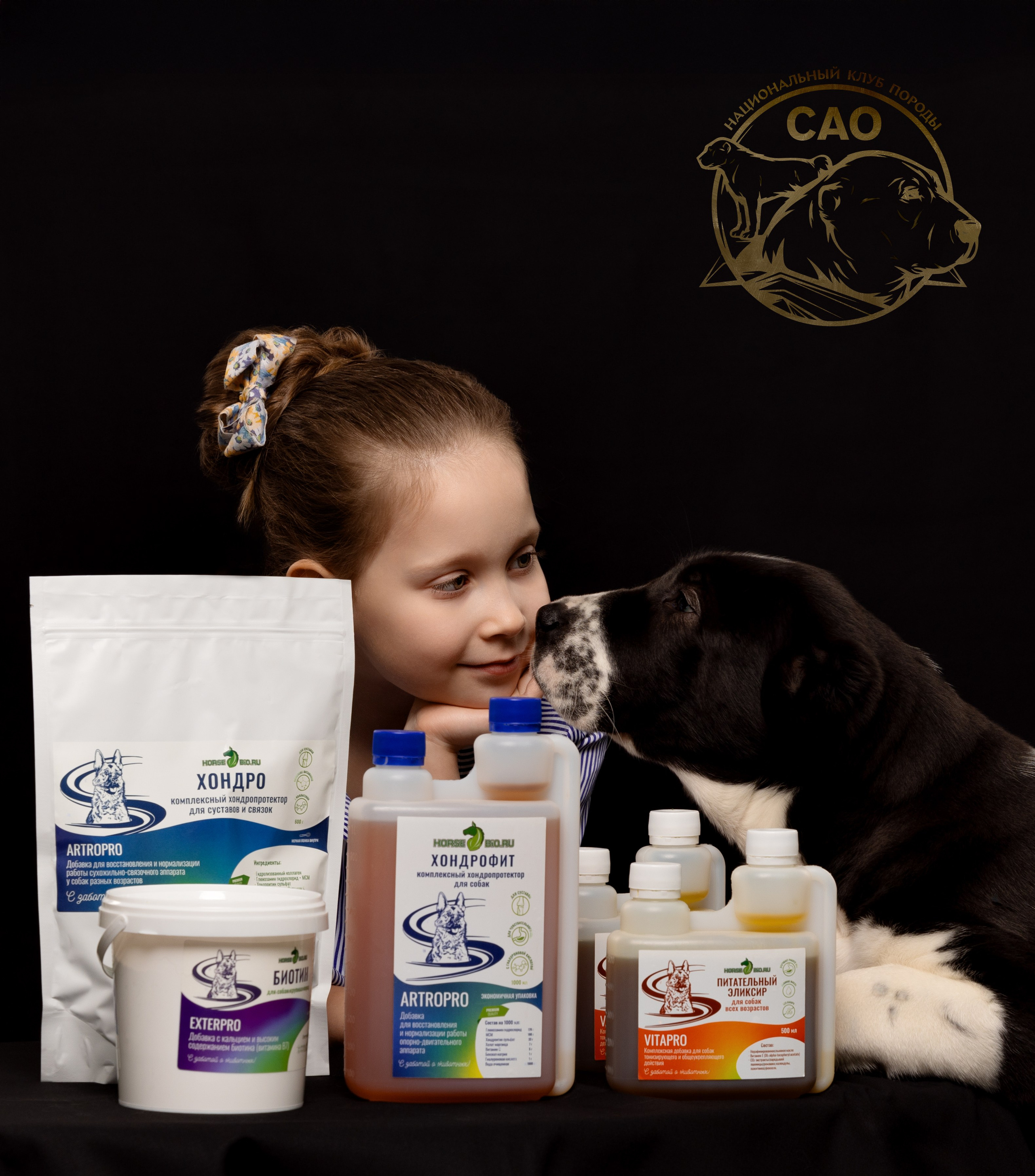 Портфолио: Фотосессии людей с собаками — душевные кадры. Фотограф-анималист и бренд-фотограф в Москве | Фотография собак, людей, бизнес-портрет