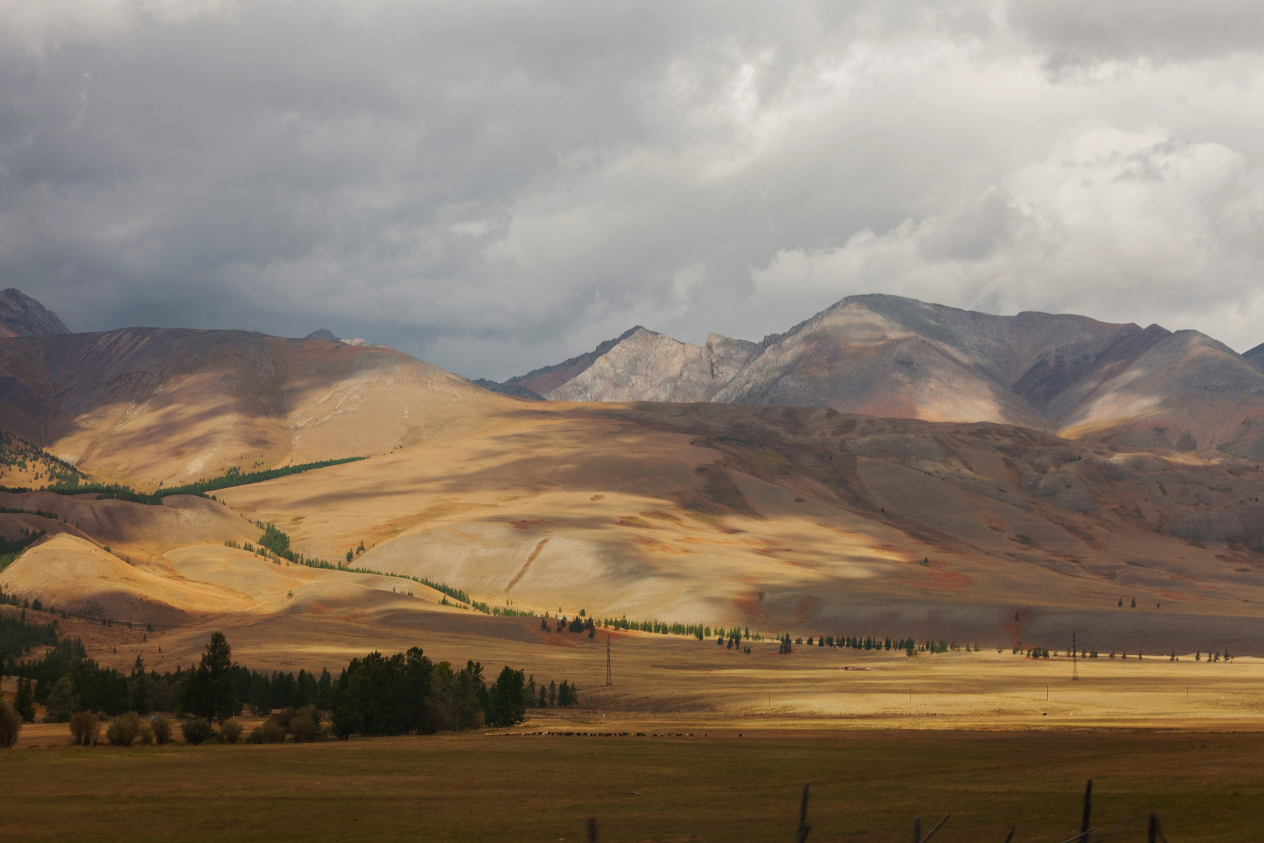 АЛТАЙ 2024 / ALTAI 2024. Главная