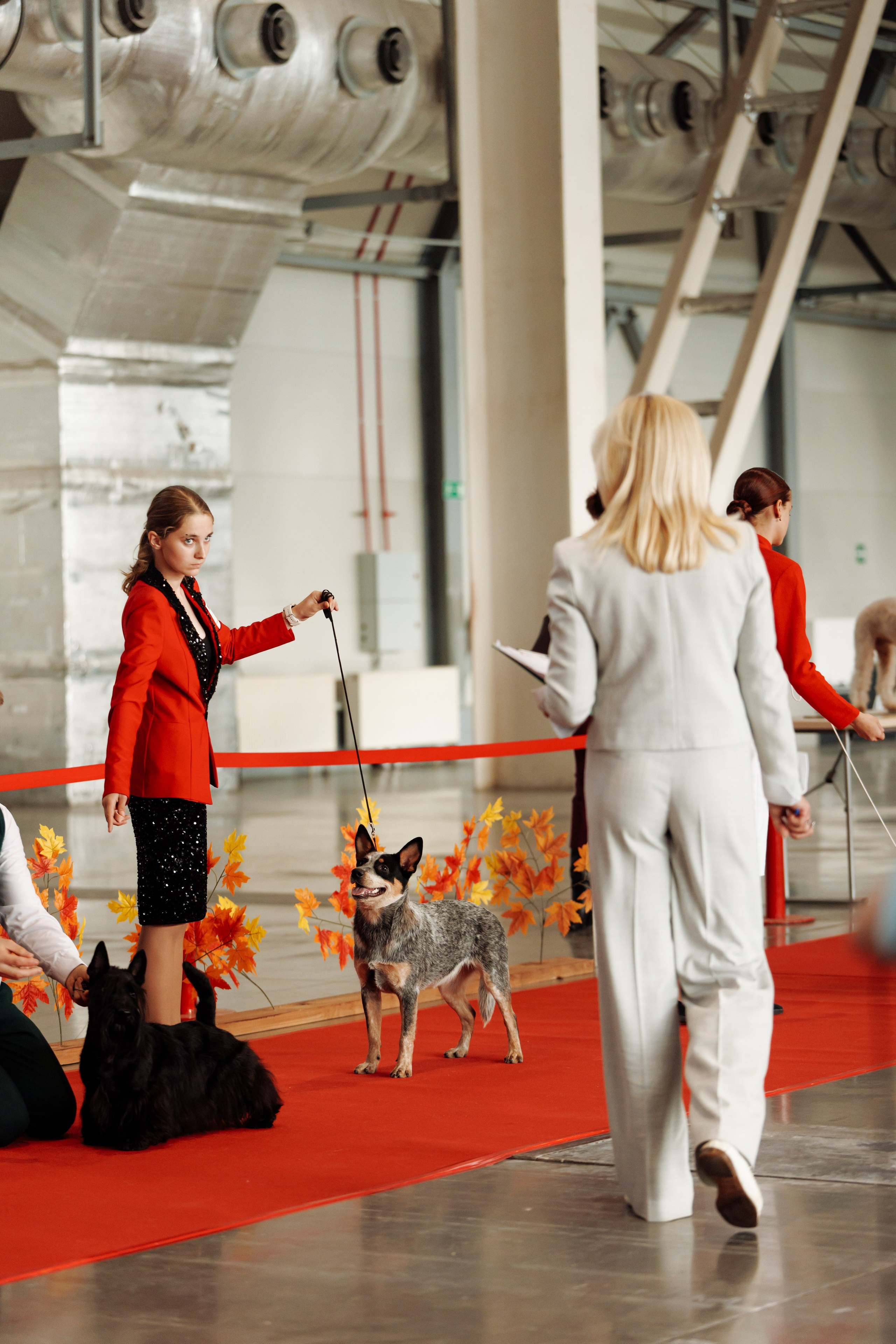 18/19.10.2025 — Екатеринбург. Фотограф-анималист Саша Вязьмина