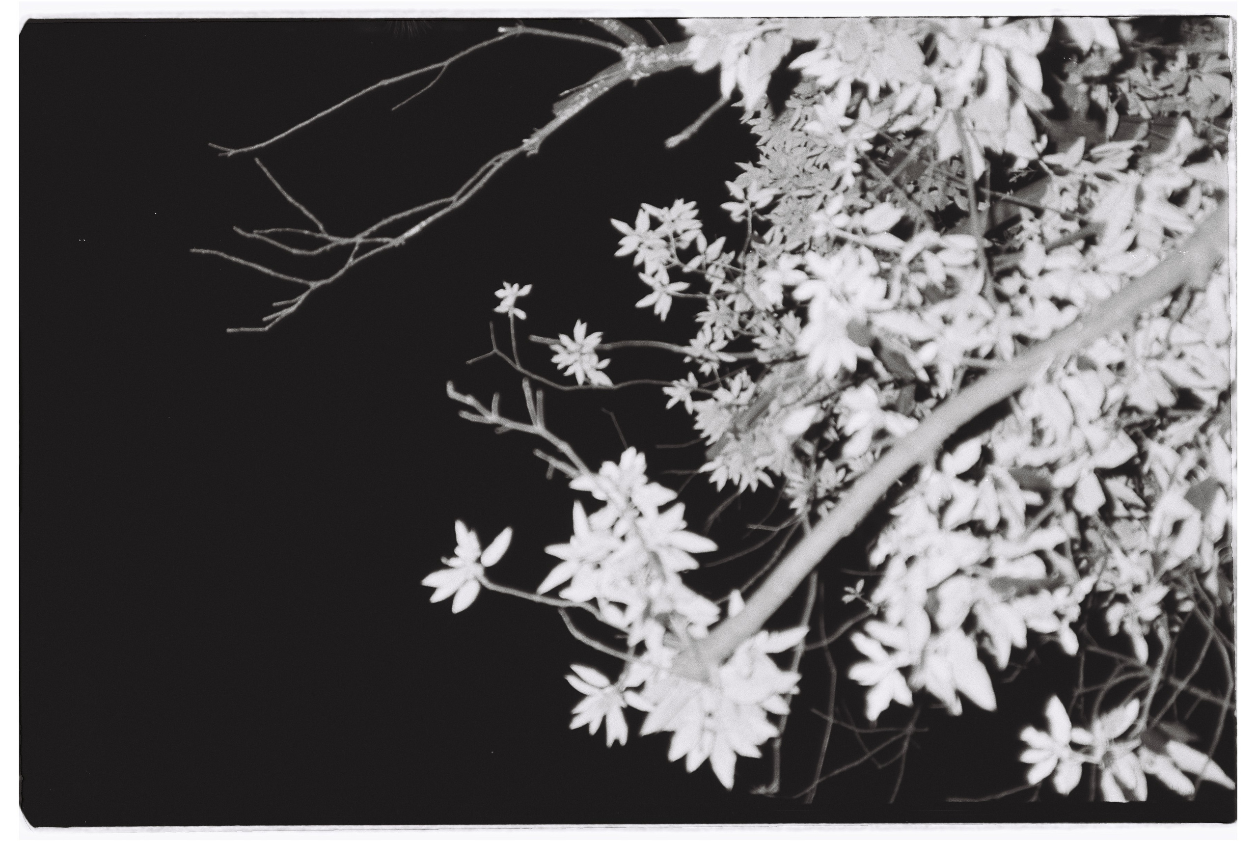 Пленочная фотография. ТАТИ | Татьяна Тихонова | фотограф | Тольятти Самара