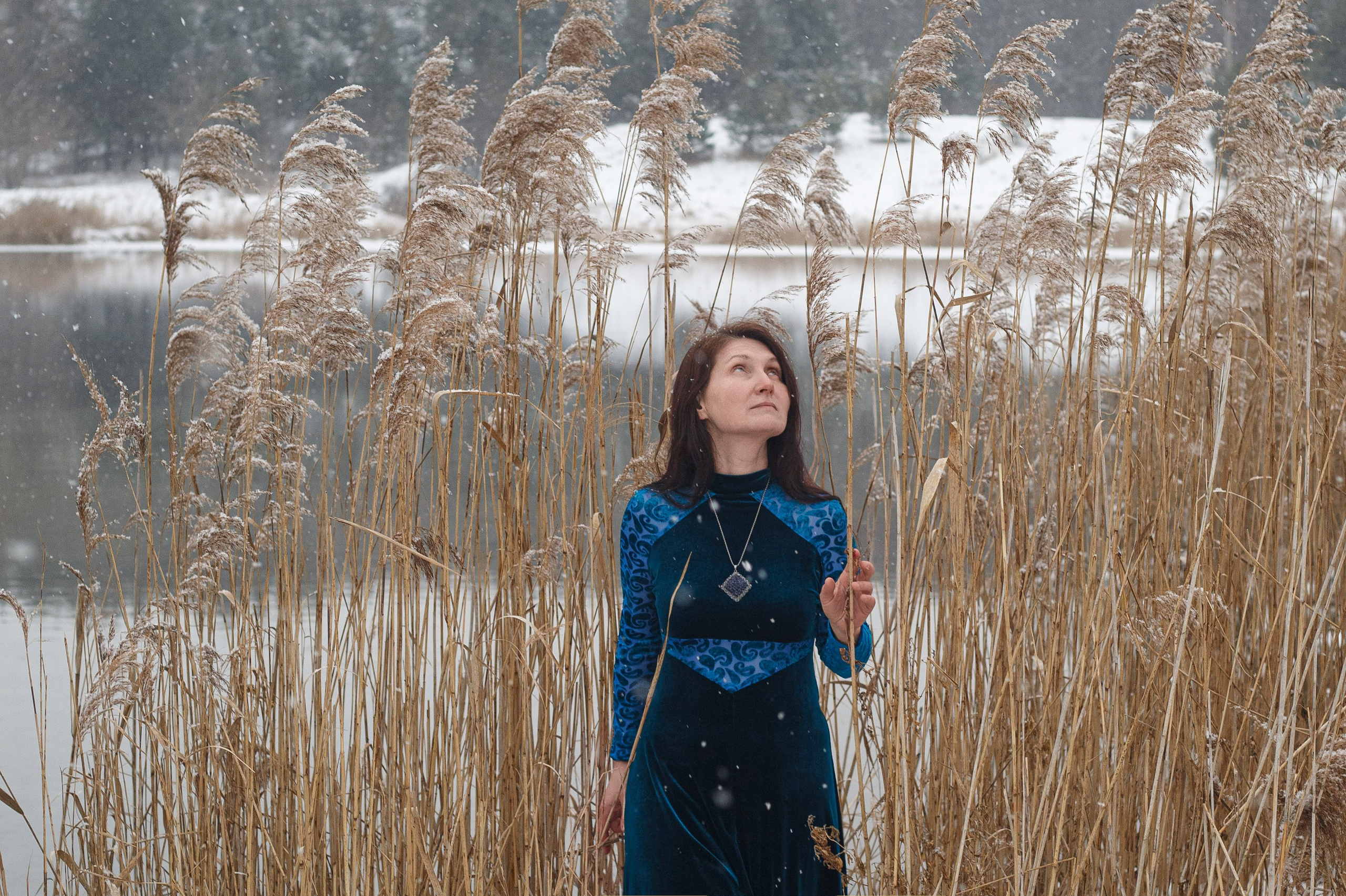 Зимняя сказка. Фотограф Дарья Улюсова