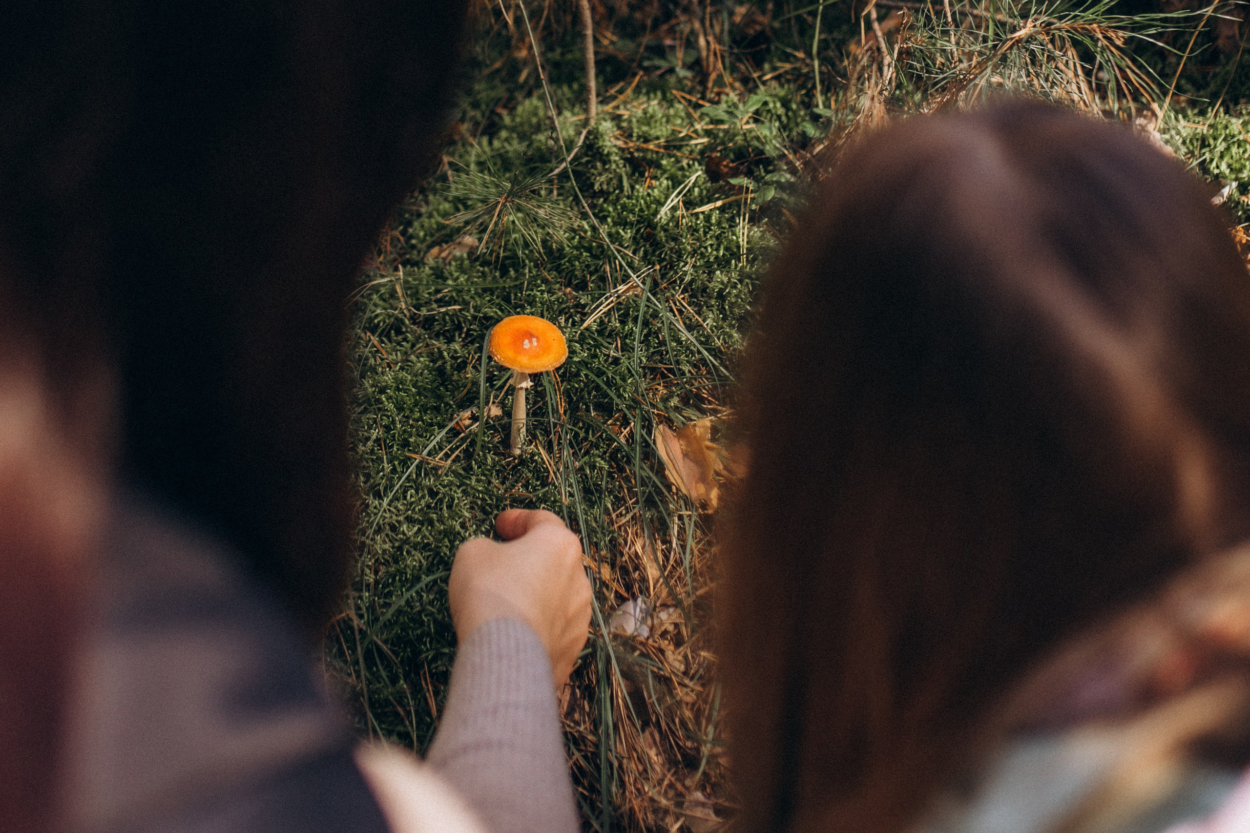 Аня с Ясей и Соней на Обском, осень. Семейный фотограф lifestyle в Новосибирске Елена Шпилевая