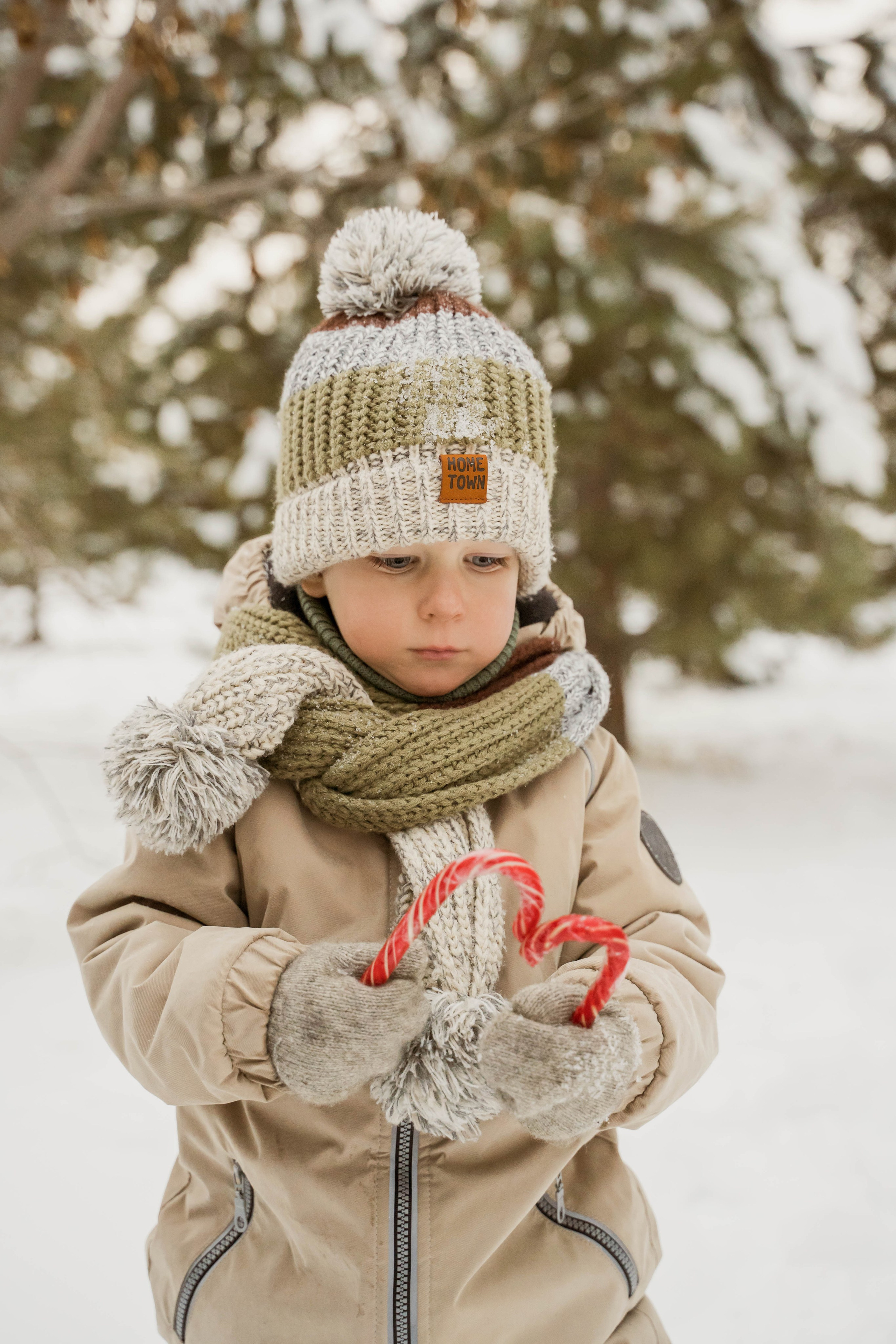 Зимняя прогулка. Главная