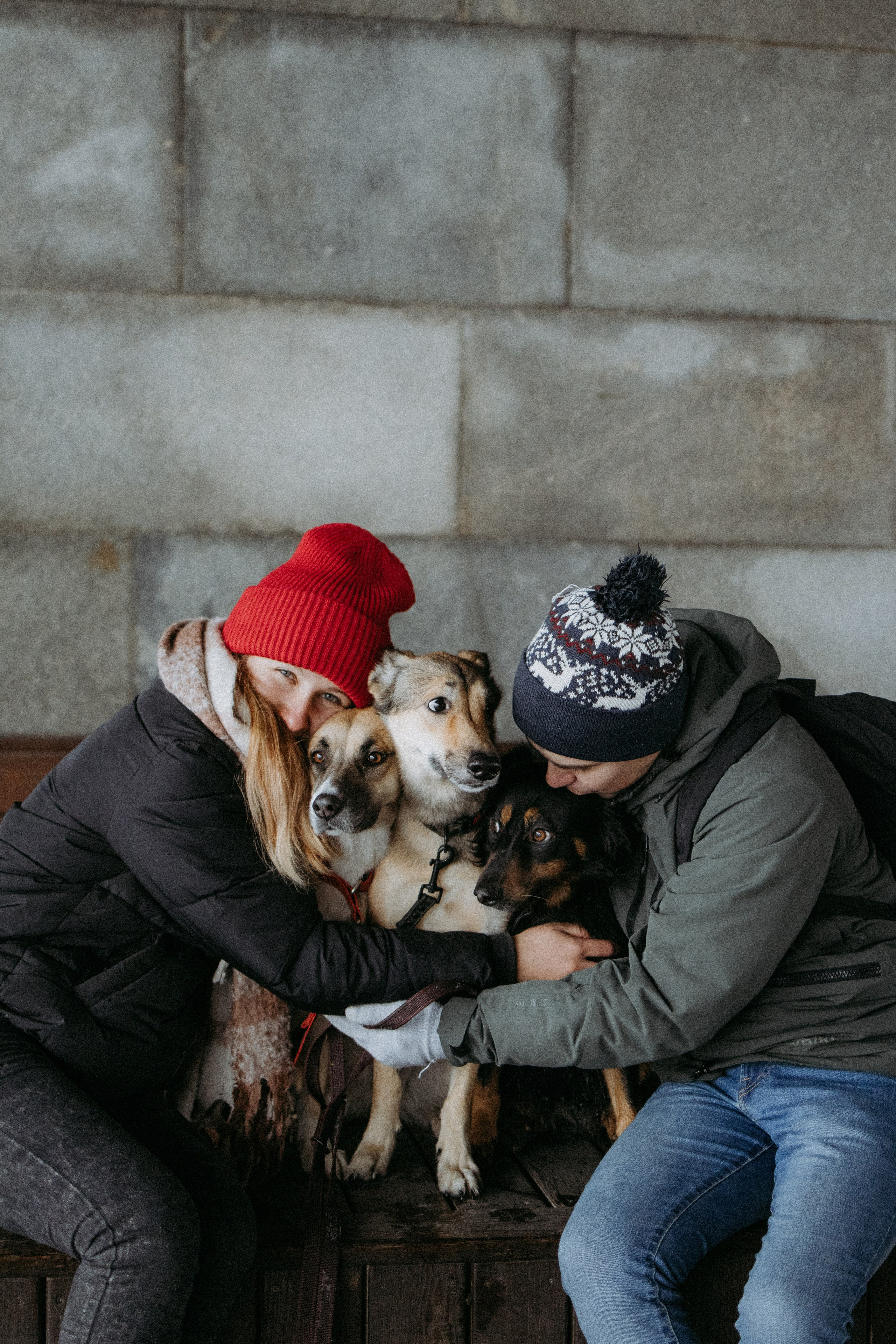 Саша, Ксюша и их банда. Фотораф — анималист Мария Шистка