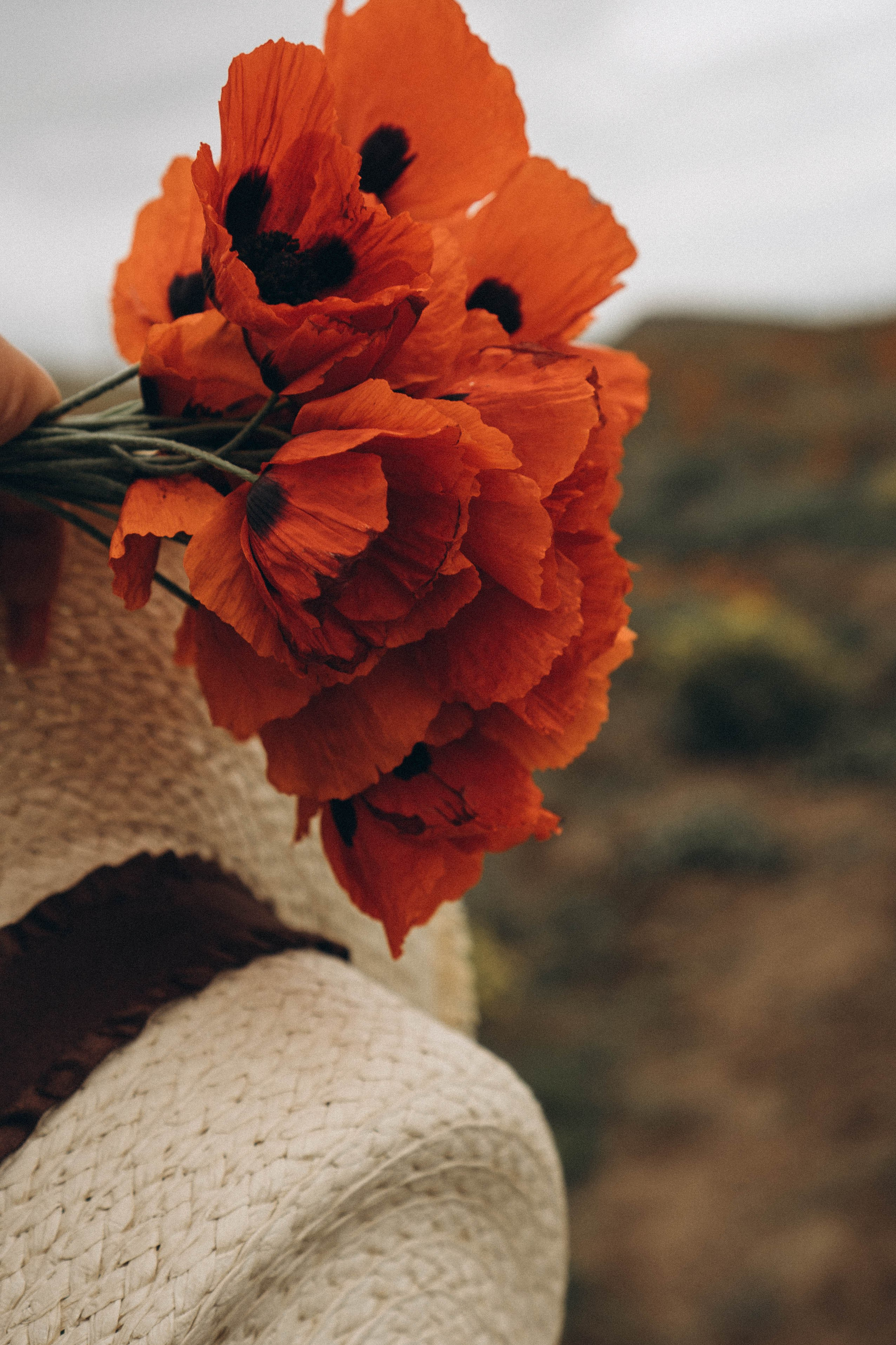 Путешествие в Дагестане. Профессиональный фотограф, Санкт-Петербург — Виктория Богомолова